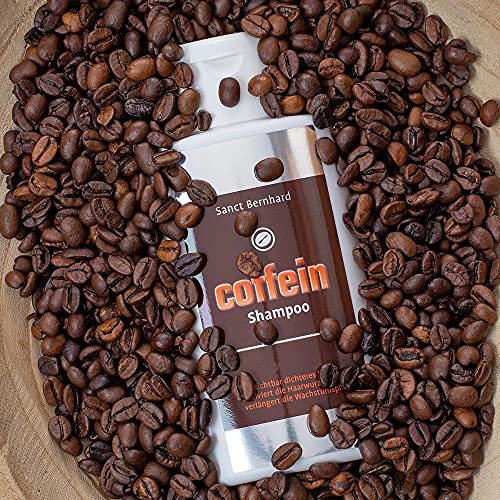 kr-uterhaus-sanct-bernhard-coffein-shampoo-250-ml-bei-d-nnem-haar image 5