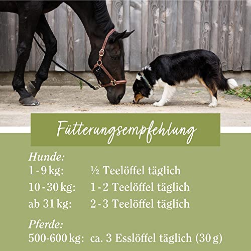tierlieb-hagebutten-pulver-hund-pferd-500-g-einzelfutter image 7