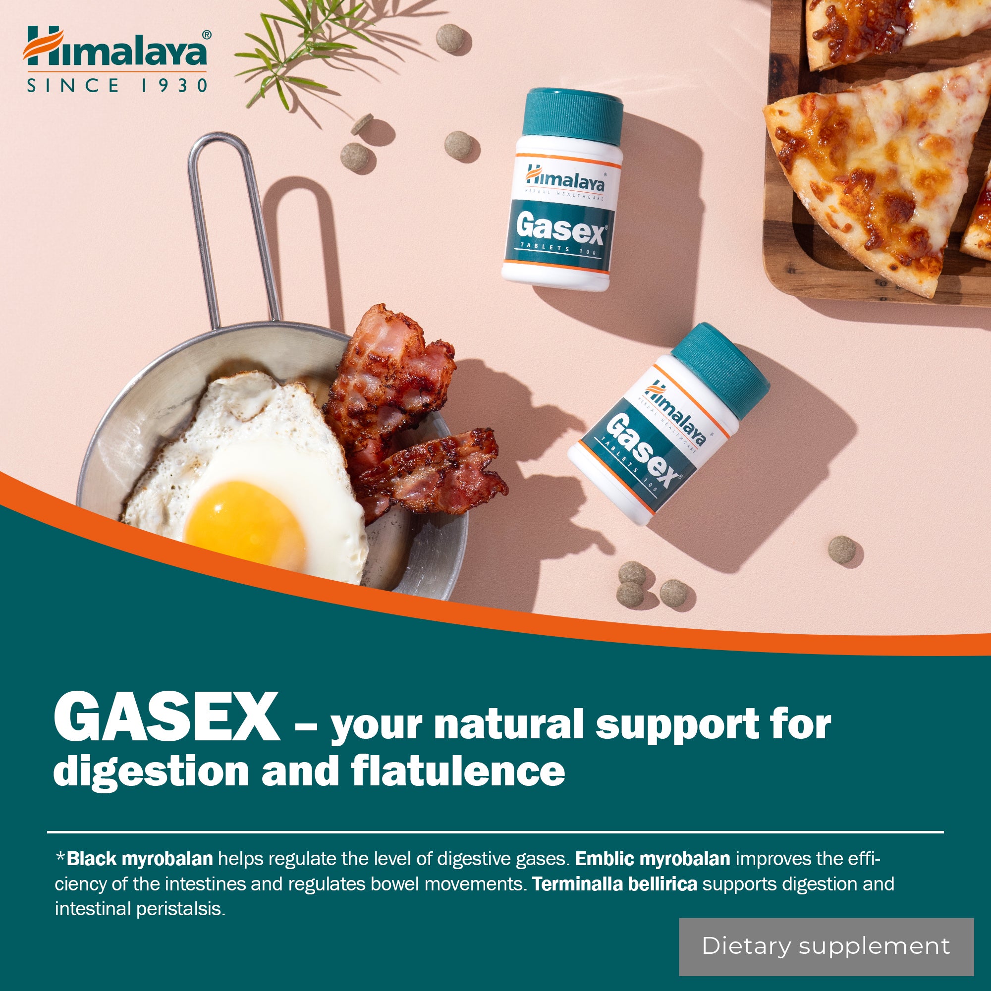 himalaya-gasex-100-tabletten-verdauung-triphala image 4