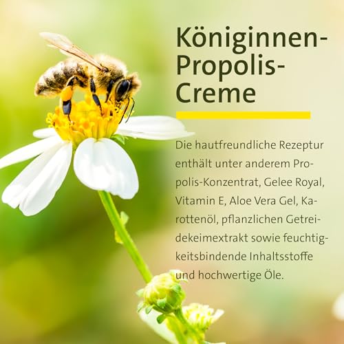 kr-uterhaus-sanct-bernhard-k-niginnen-propolis-creme-100-ml image 8