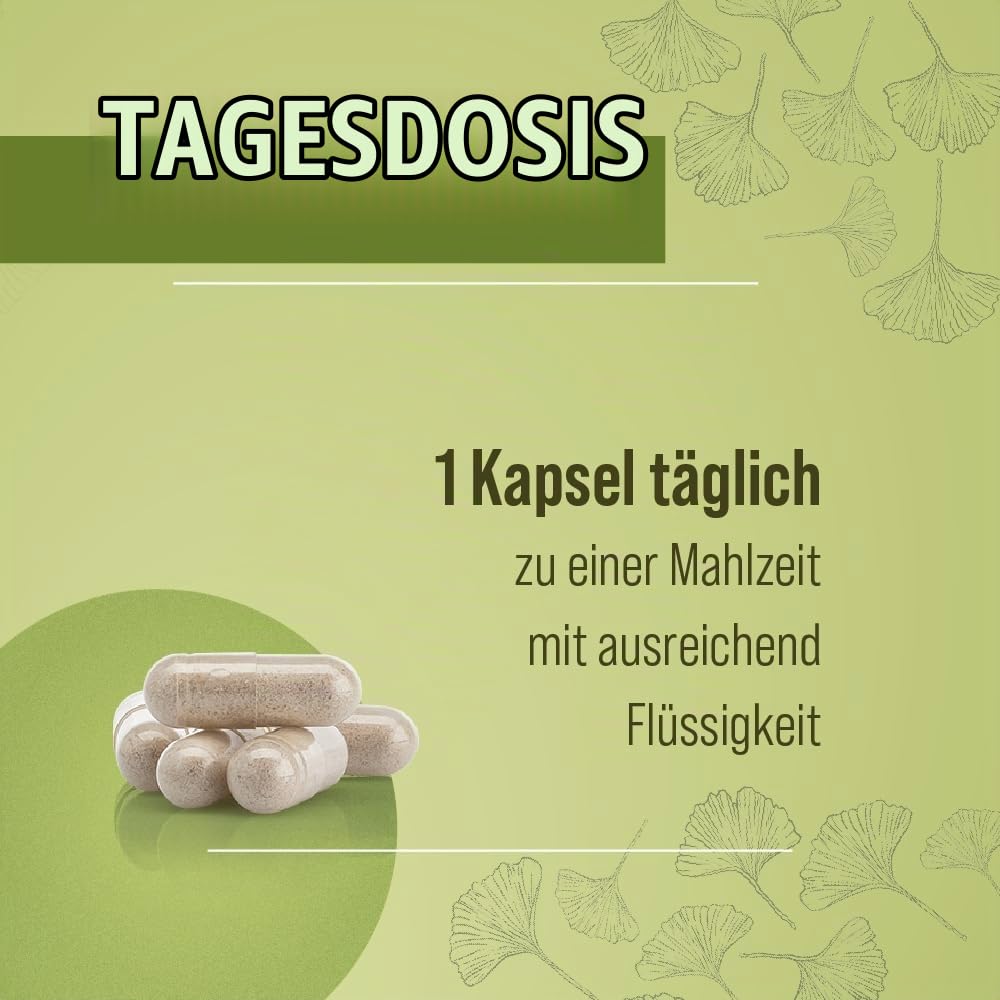 sanct-bernhard-ginkgo-kapseln-240-st-ck-75-mg-extrakt image 4