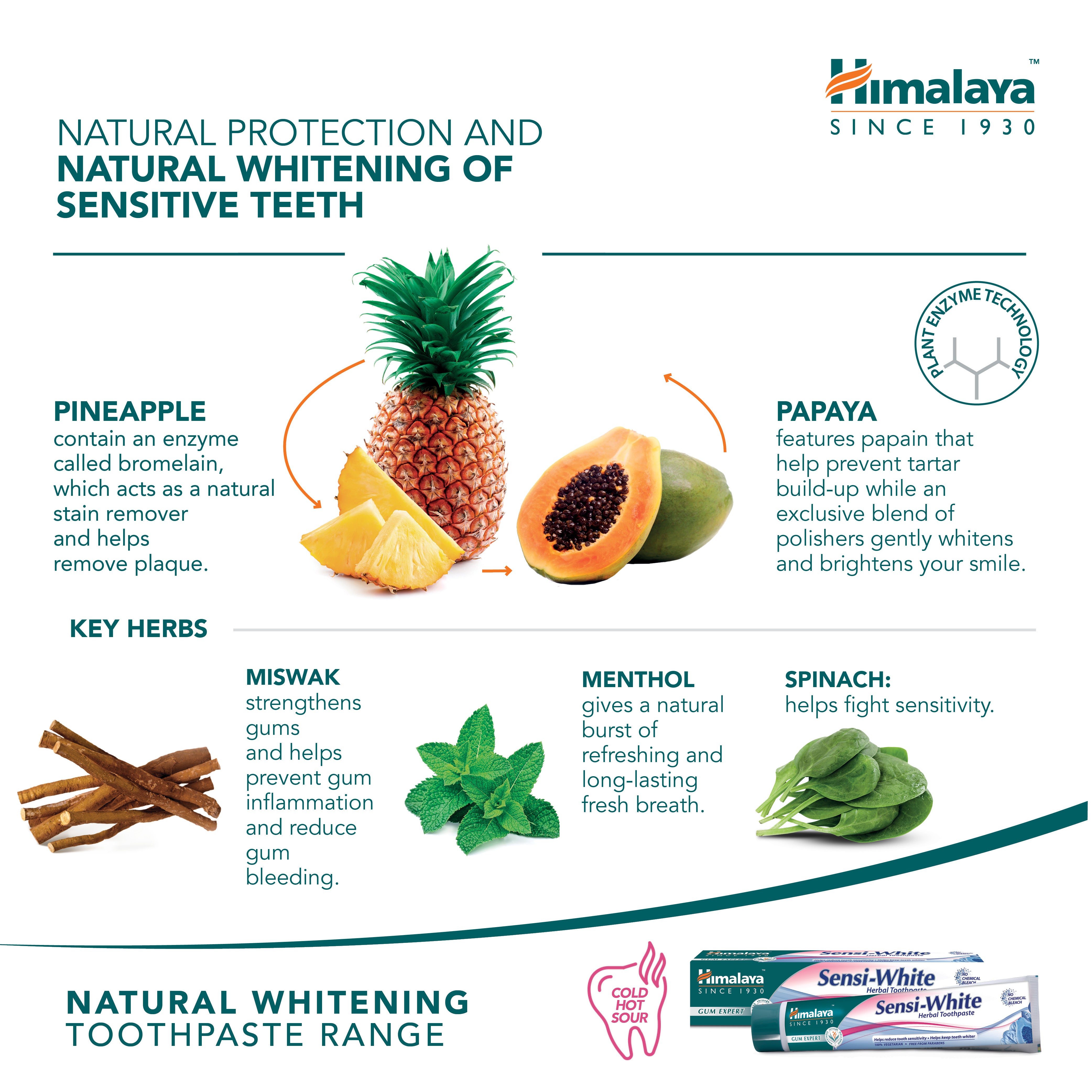 himalaya-gum-expert-sensi-white-zahnpasta-75-ml-fluoridfrei image 5