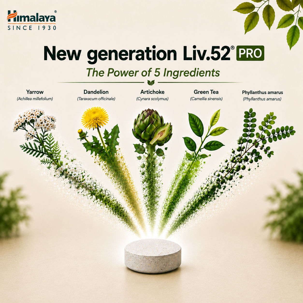 himalaya-liv-52-ds-tabletten-60-st-ck-leber-detox image 4