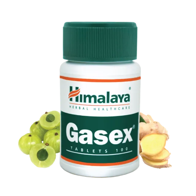 himalaya-gasex-100-tabletten-verdauung-triphala image 1