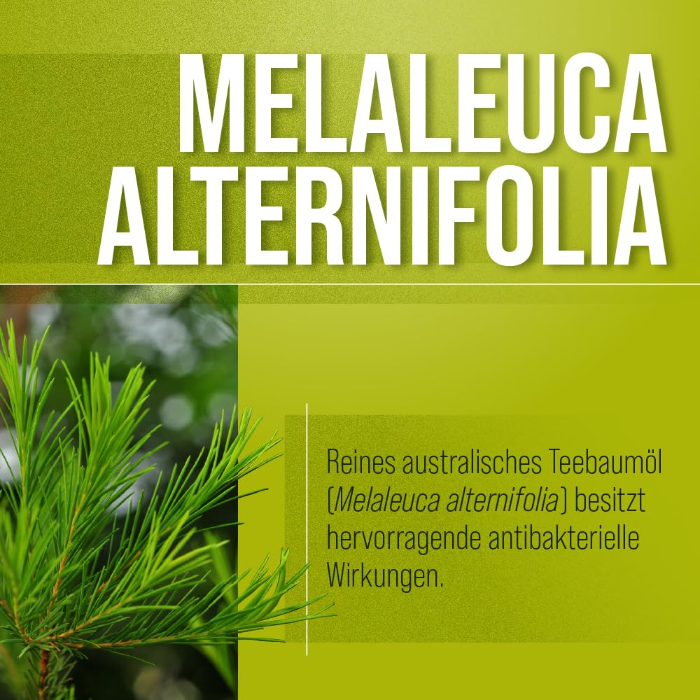 sanct-bernhard-jojoba-teebaum-l-salbe-hautcreme-100-ml-antibakteriell image 2