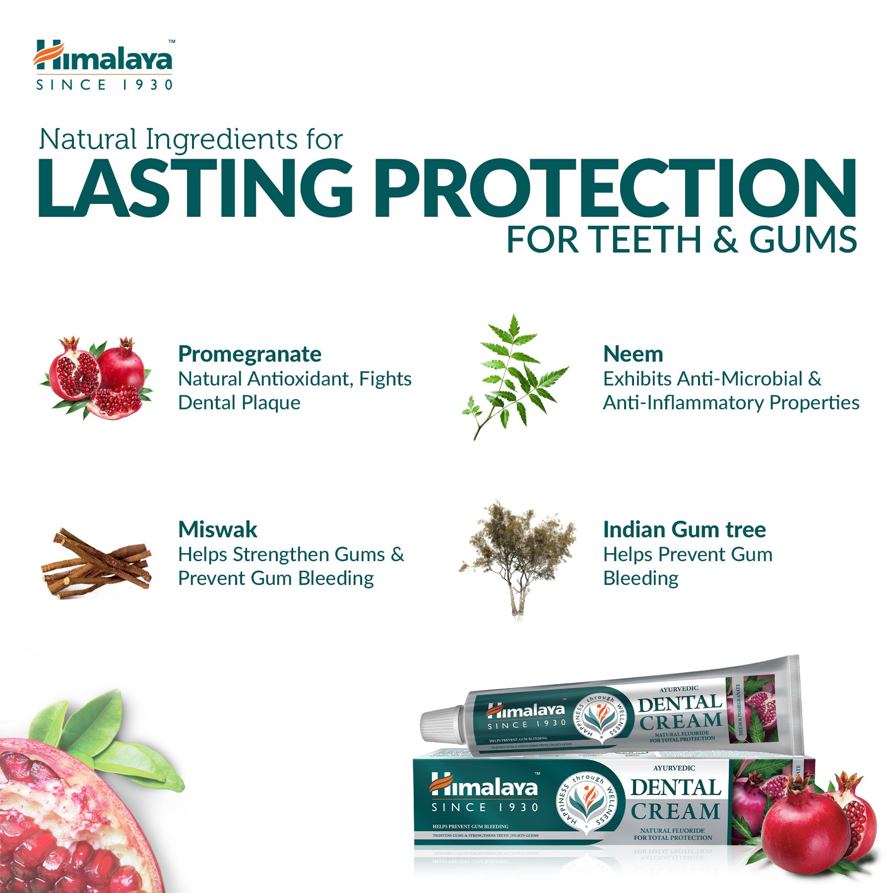 himalaya-neem-granatapfel-zahnpasta-100-g-mit-fluorid image 4