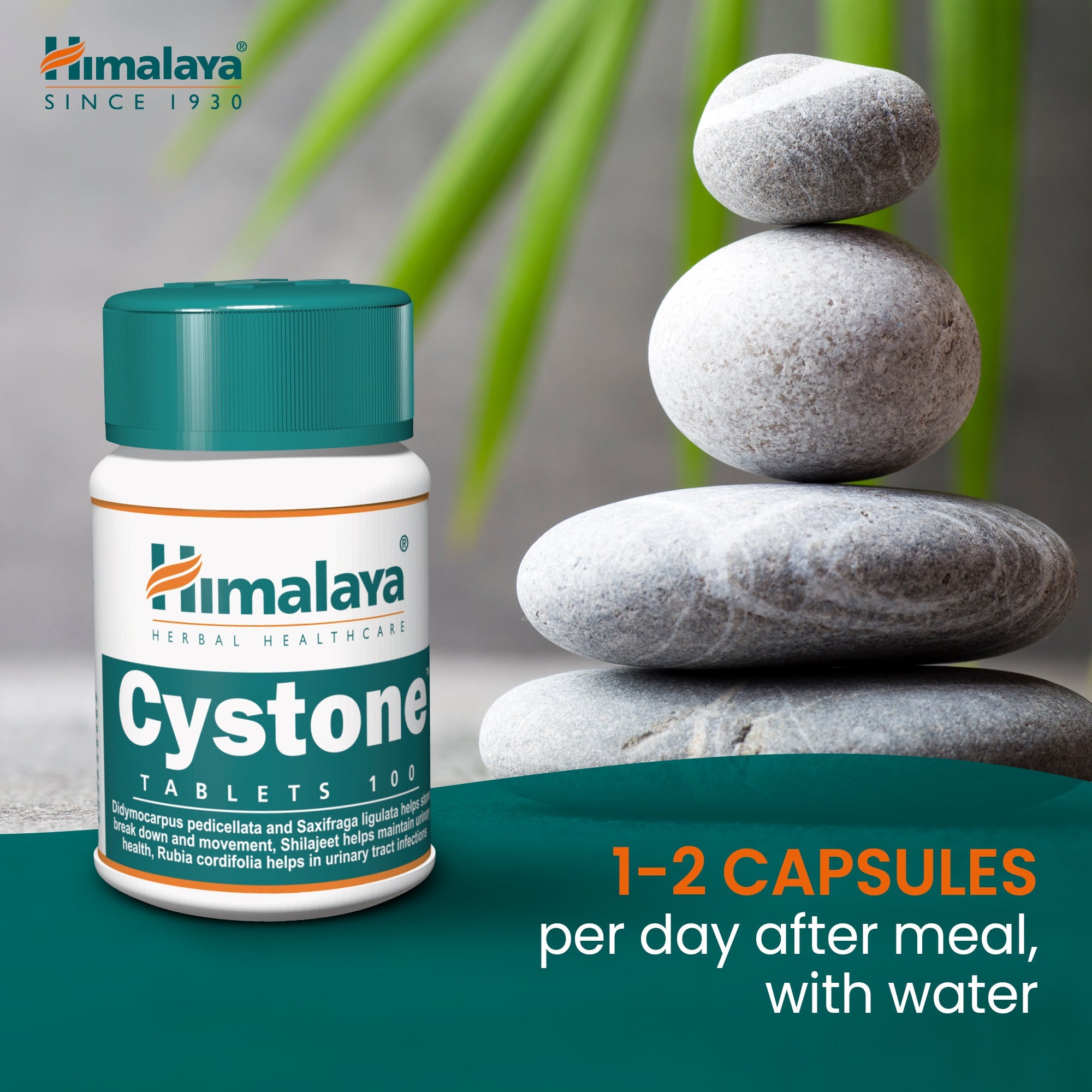 himalaya-cystone-tabletten-100-stk-nieren-harnwege image 8