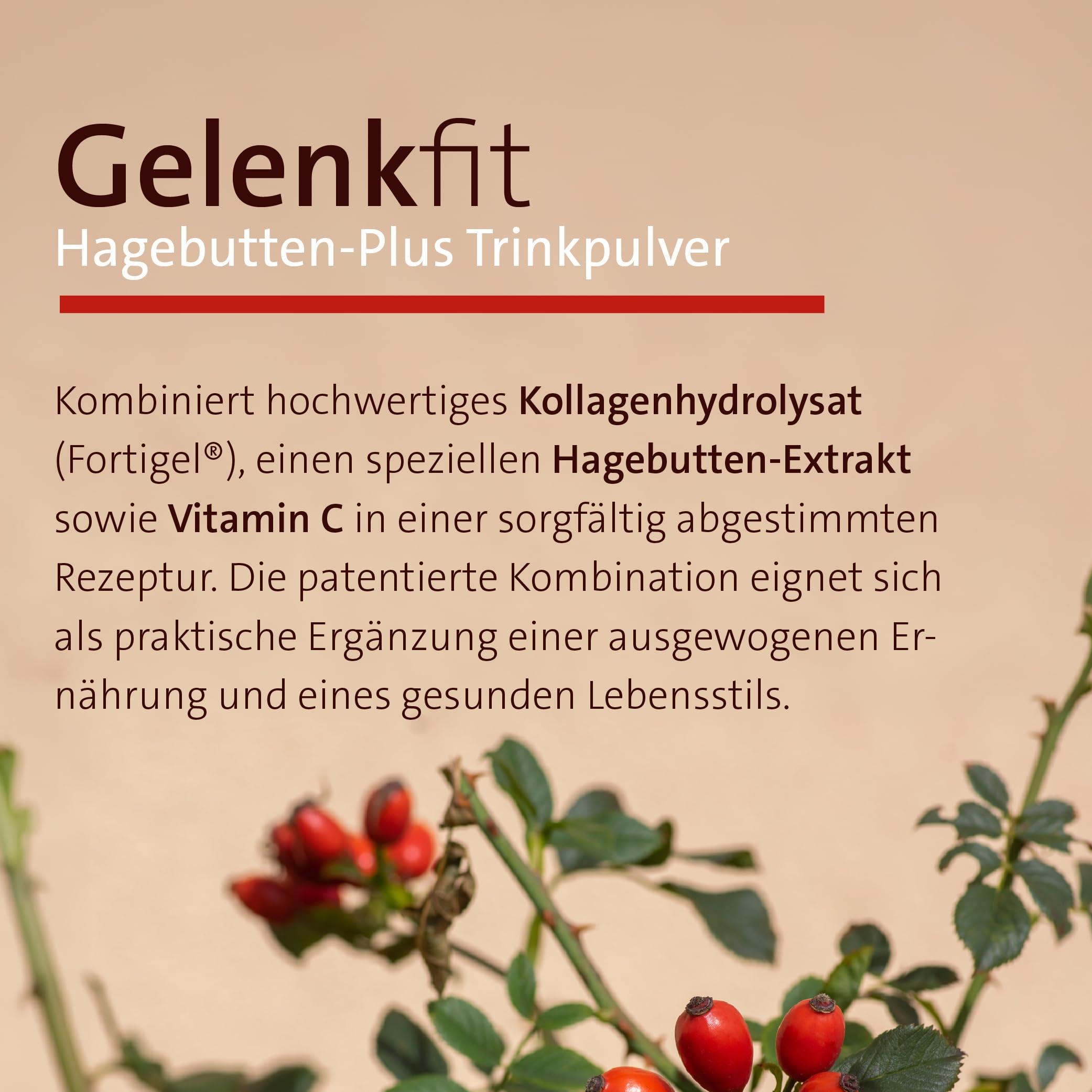 sanct-bernhard-gelenkfit-hagebutte-trinkpulver-30-port-kollagen image 2