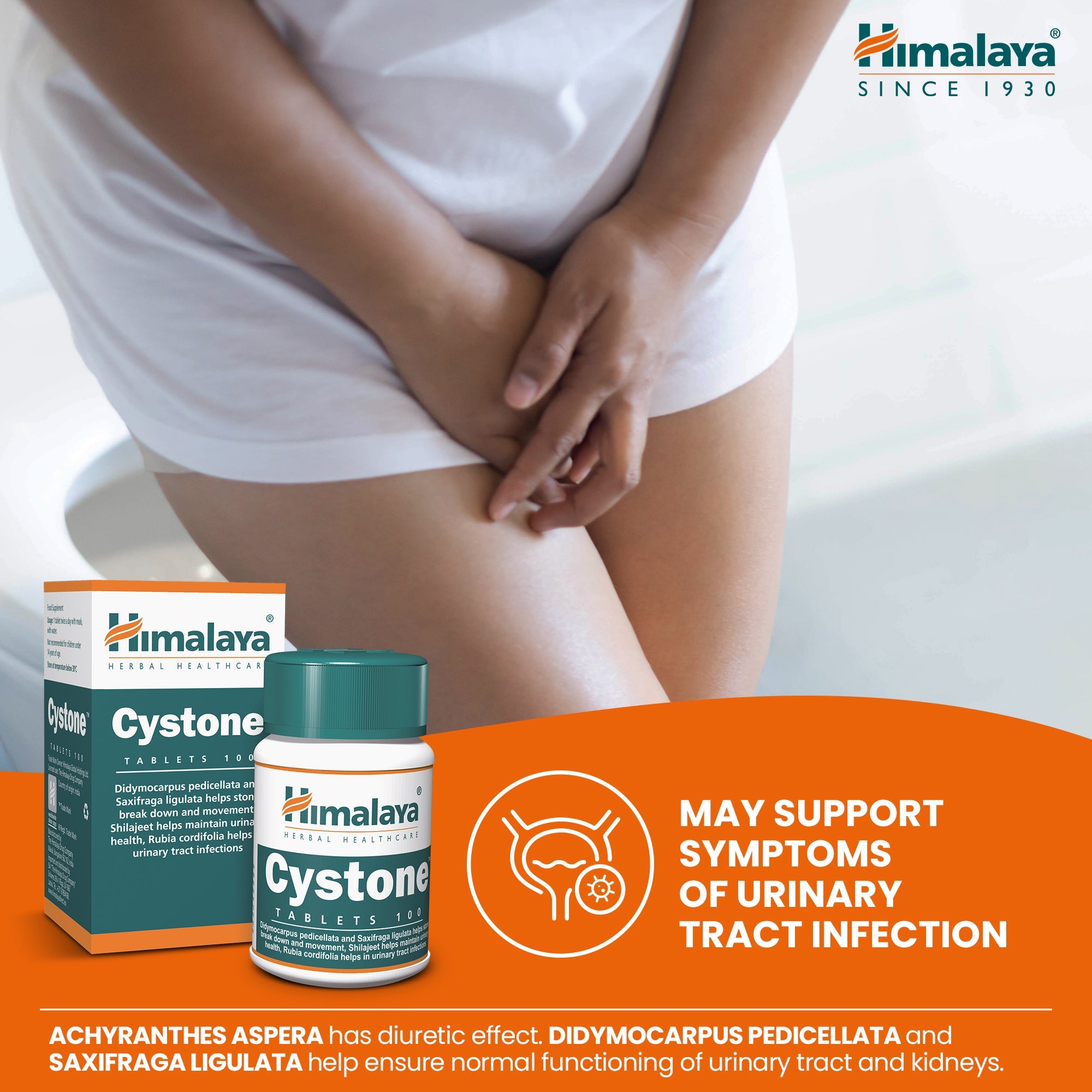 himalaya-cystone-tabletten-100-stk-nieren-harnwege image 3