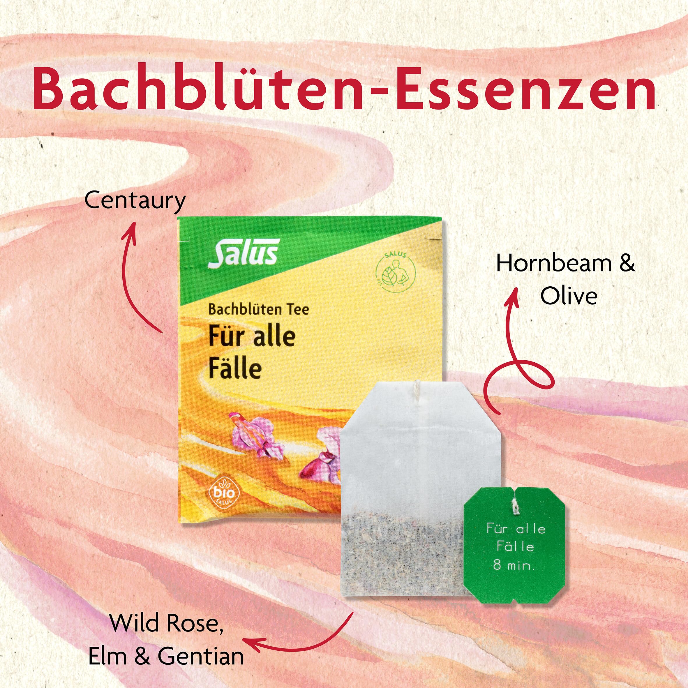 salus-bachbl-ten-tee-kraft-energie-filterbeutel-15-st-bio image 3