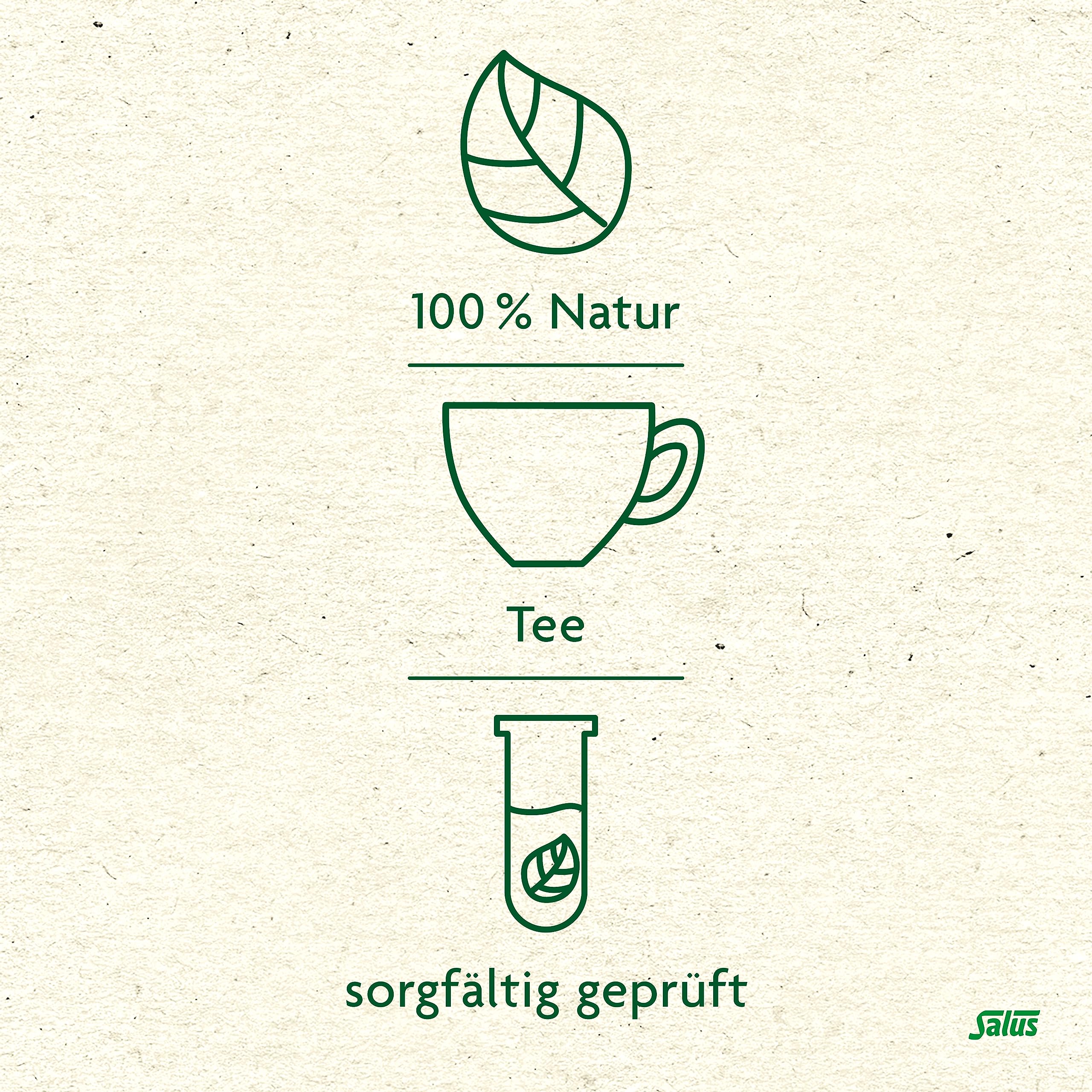 salus-wintertee-zauberhaftes-afrika-rooibos-bio-15-filterbeutel image 4