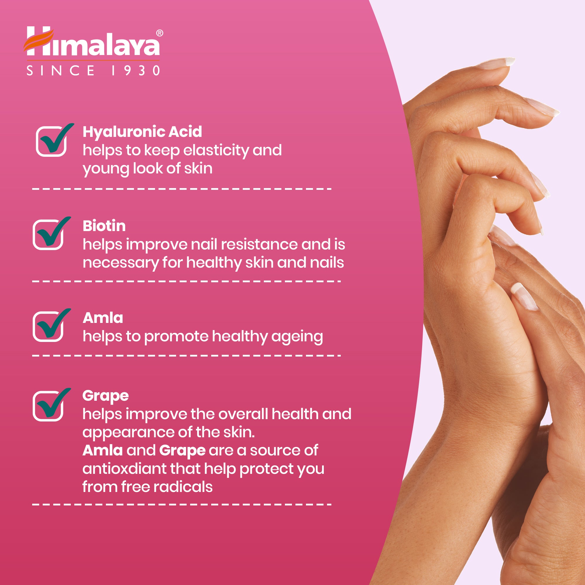 himalaya-skin-nails-gummib-rchen-60-stk-biotin-amla image 6