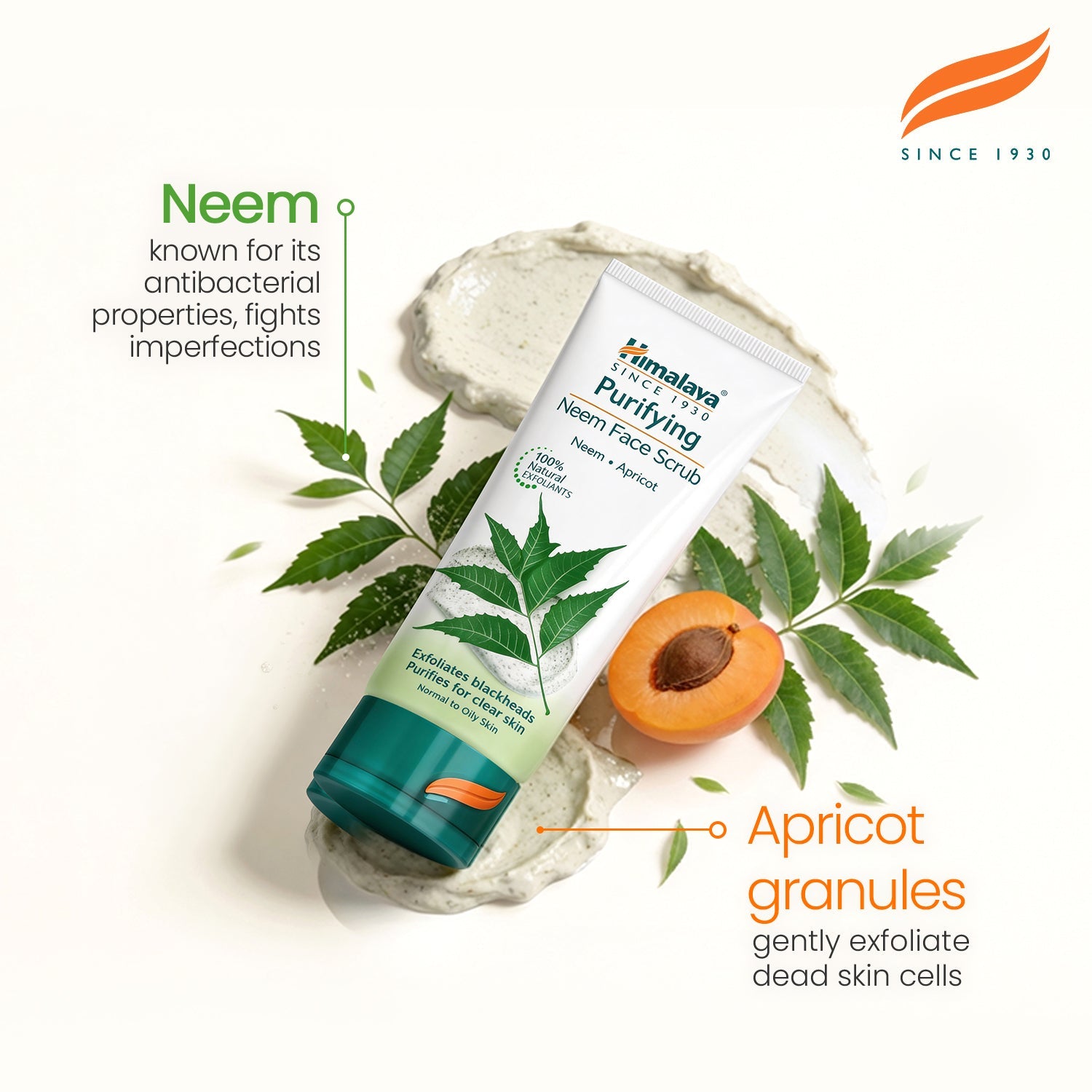 himalaya-purifying-neem-gesichtspeeling-75-ml-f-r-unreine-haut image 3