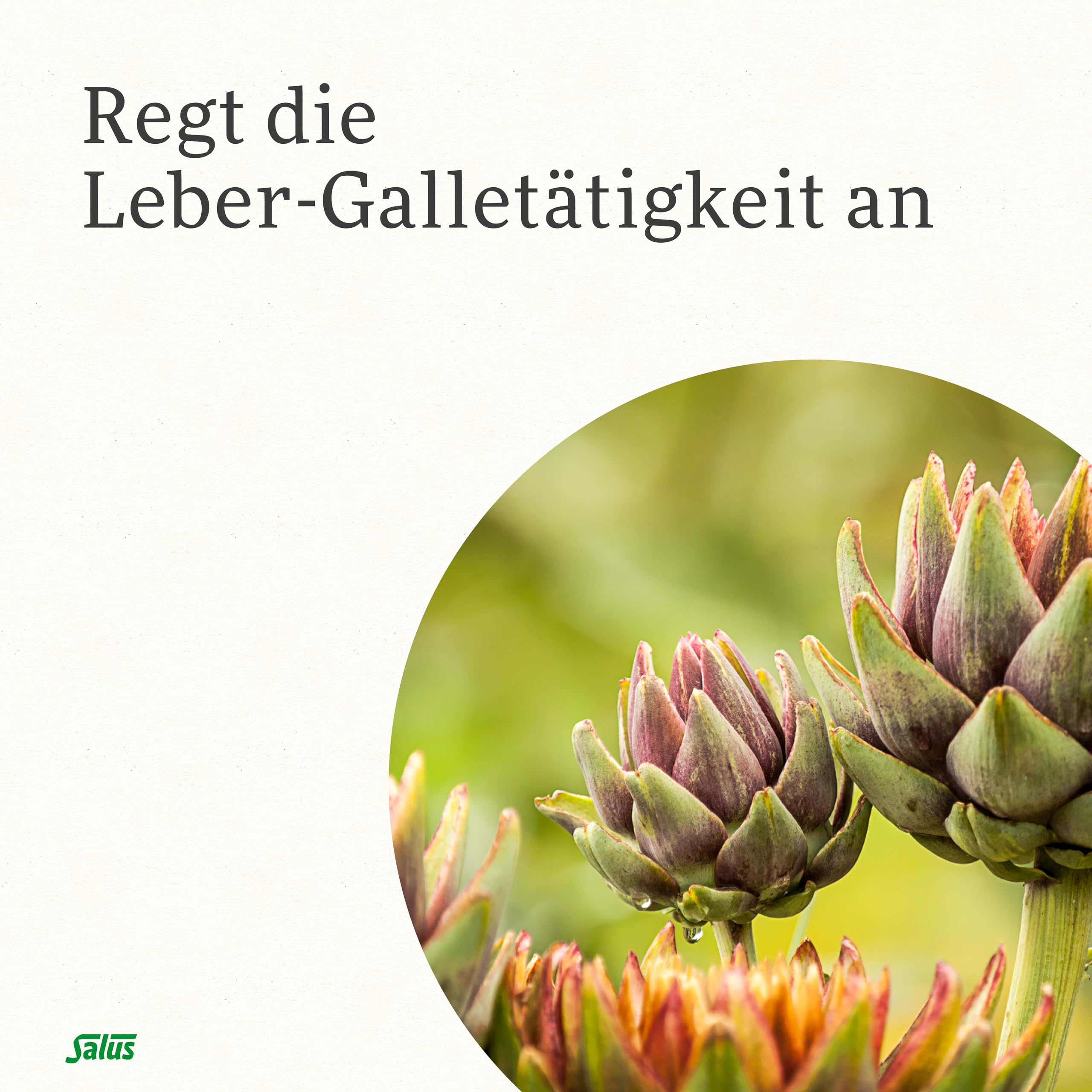salus-gallexier-kr-uterbitter-elixier-60-ml-alkoholfrei image 4