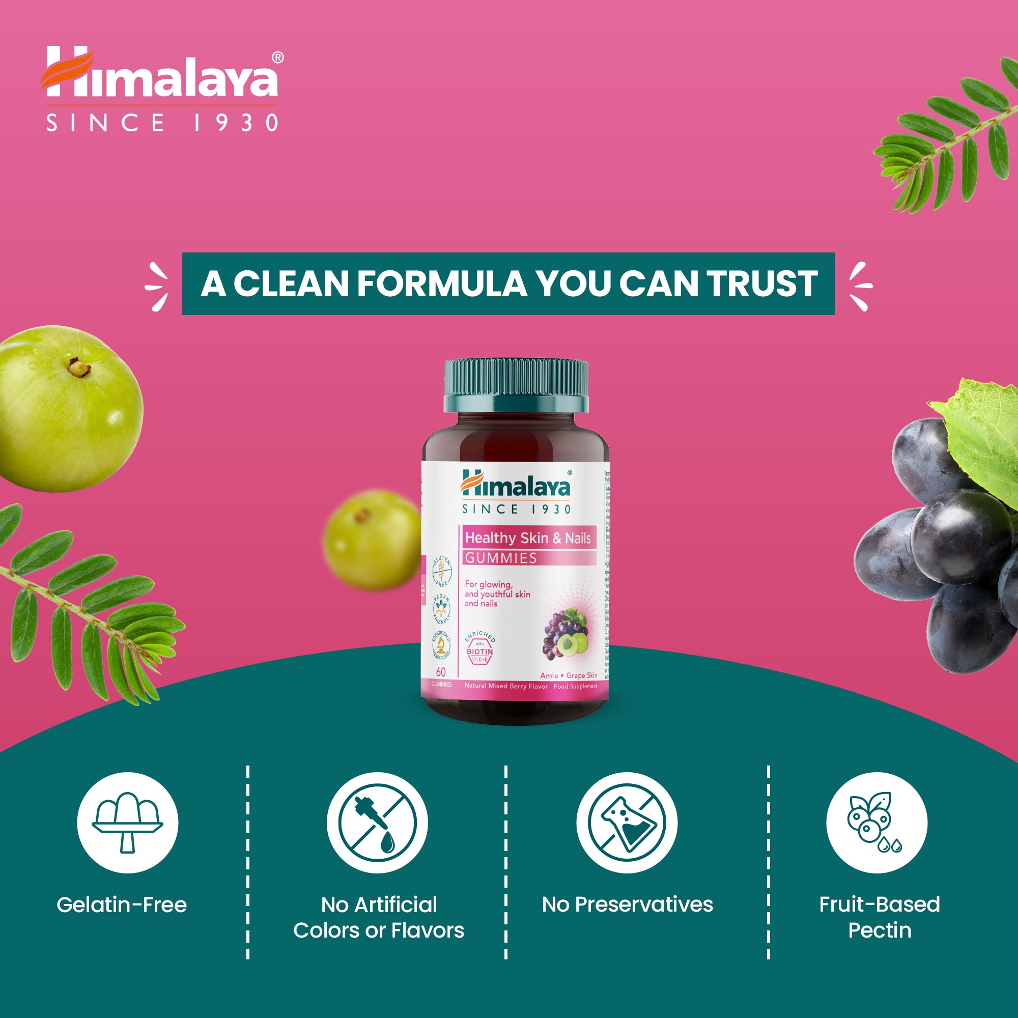 himalaya-skin-nails-gummib-rchen-60-stk-biotin-amla image 4