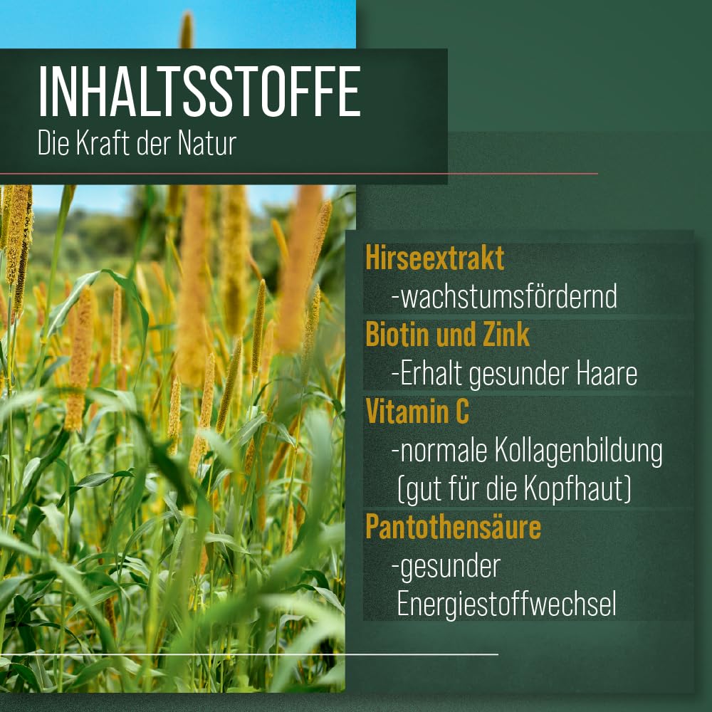 kr-uterhaus-sanct-bernhard-haarfit-kapseln-120-st-ck-biotin-zink image 5