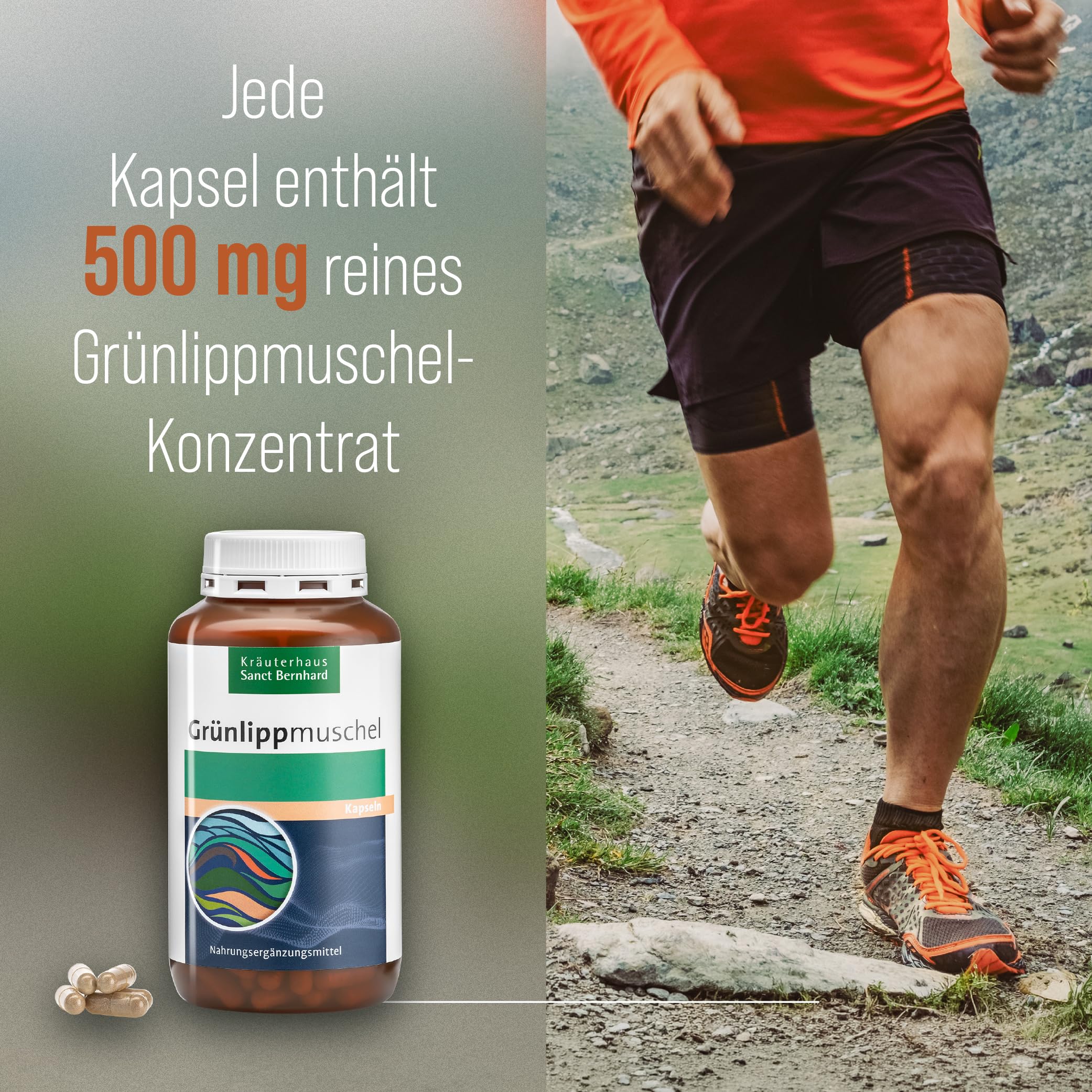 sanct-bernhard-gr-nlippmuschel-kapseln-500-mg-300-st-ck image 3