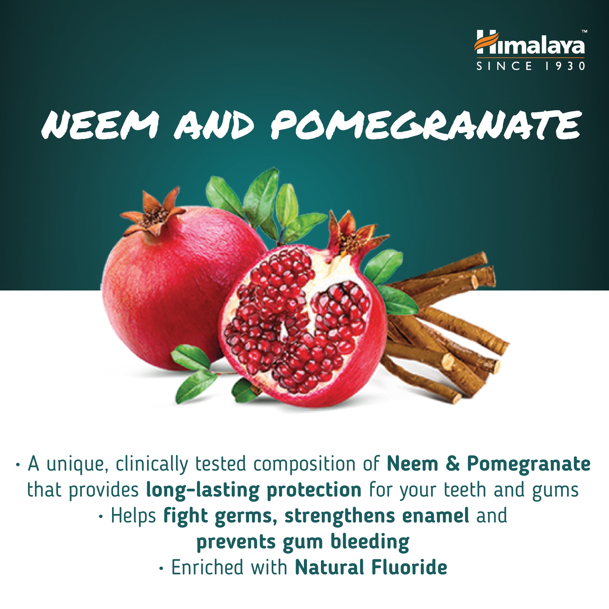himalaya-neem-granatapfel-zahnpasta-100-g-mit-fluorid image 5