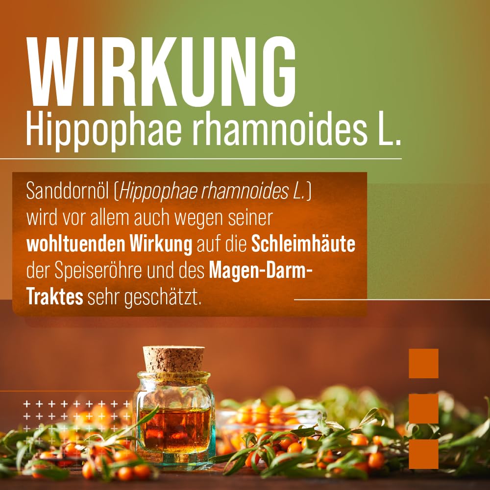 sanct-bernhard-omega-7-sanddorn-l-kapseln-3x100-bio image 4