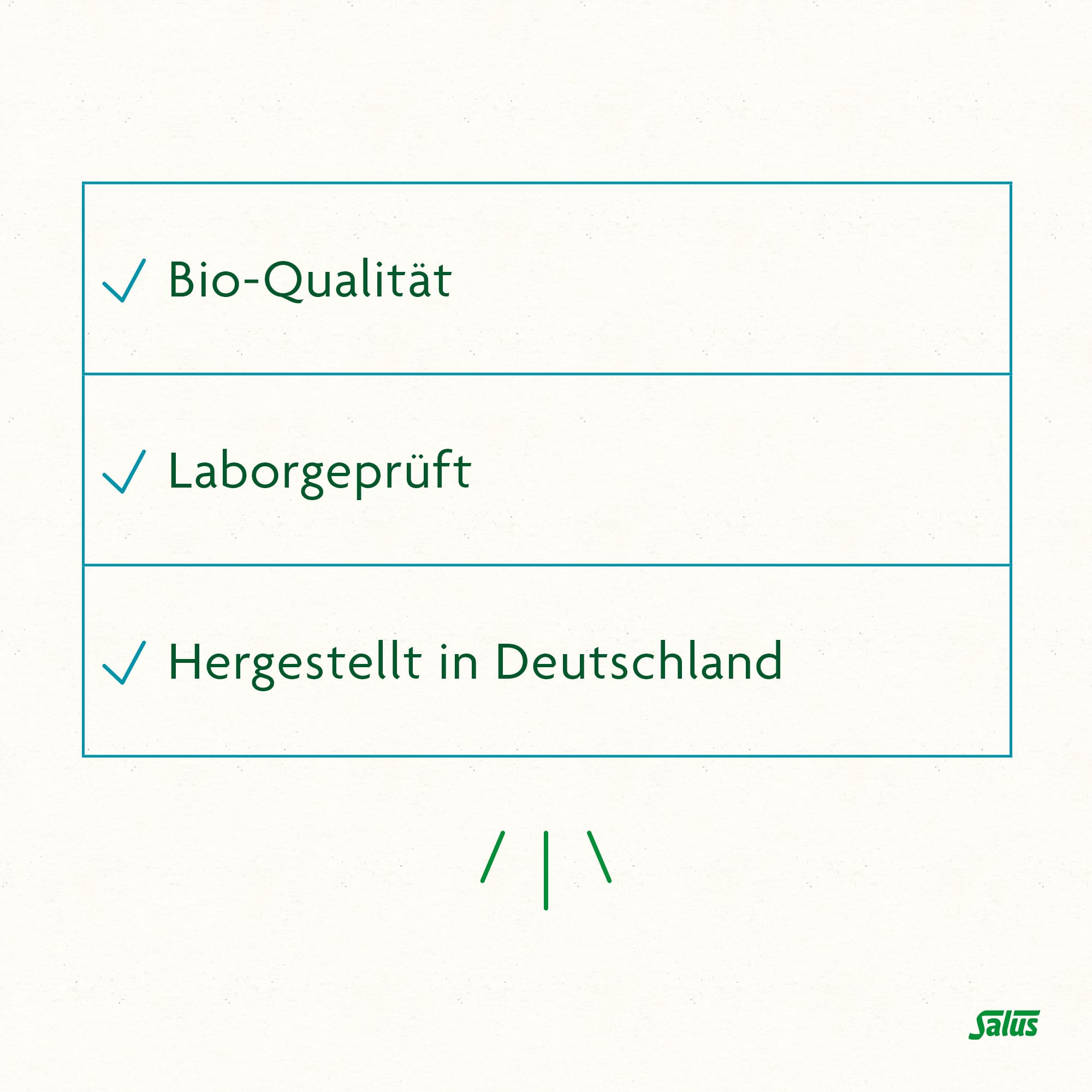 salus-freebalance-goldrute-kamille-tee-bio-40-beutel image 6
