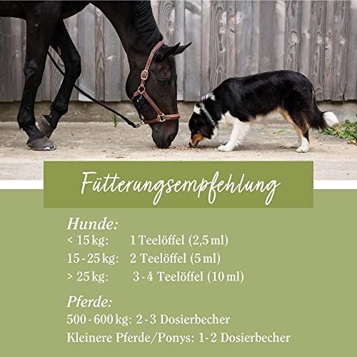 sanct-bernhard-tierlieb-lein-l-omega-3-6-9-1-liter-hund-pferd image 7