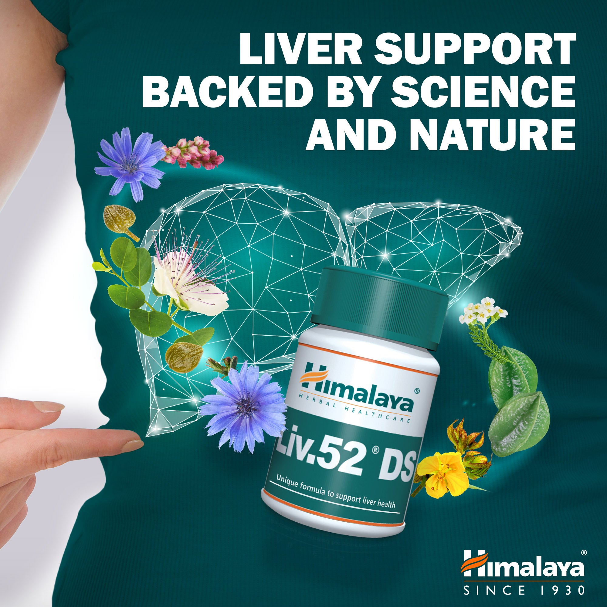 himalaya-liv-52-ds-tabletten-60-stk-leber-verdauung image 2