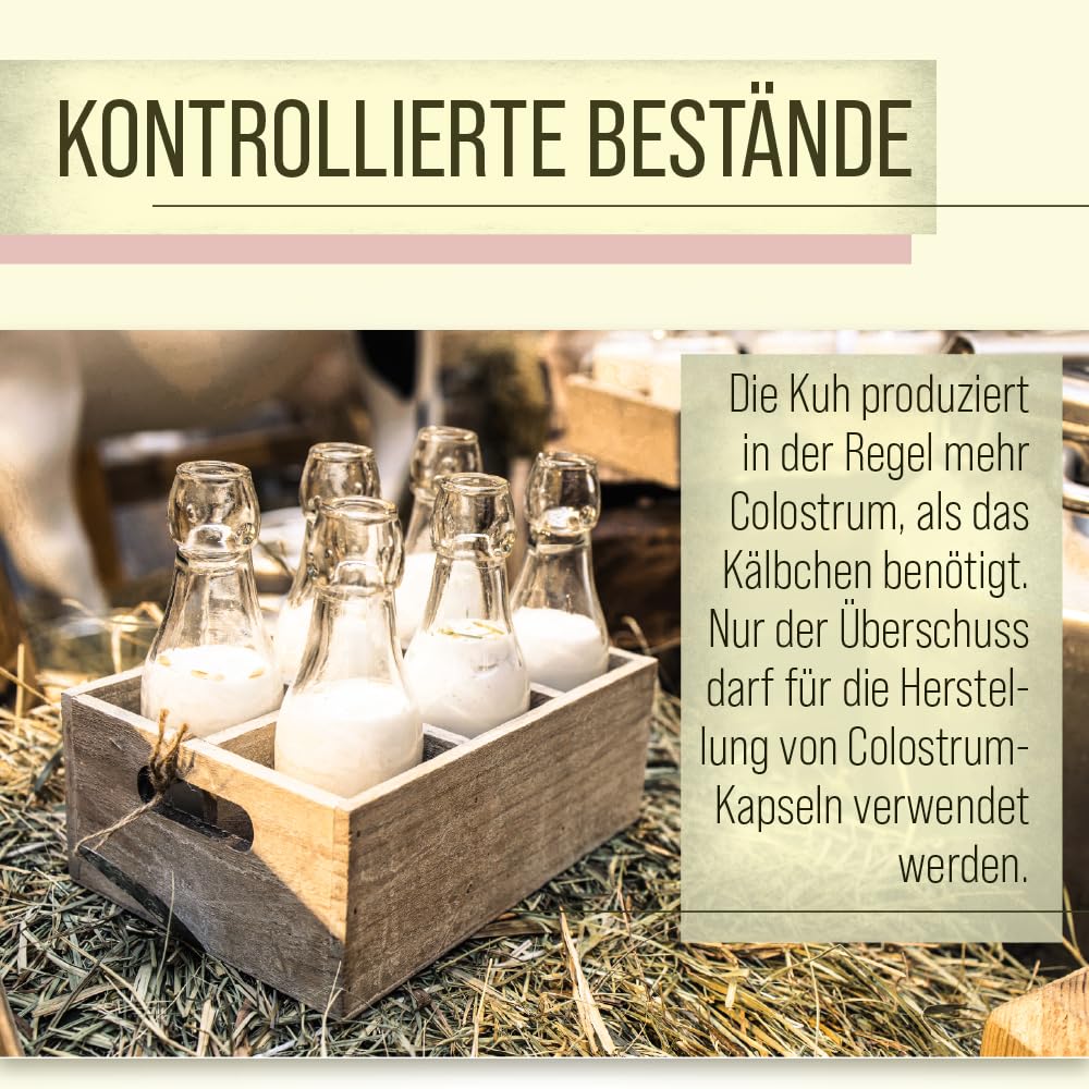 sanct-bernhard-colostrum-90-kapseln-90-st-ck-mit-igg image 3