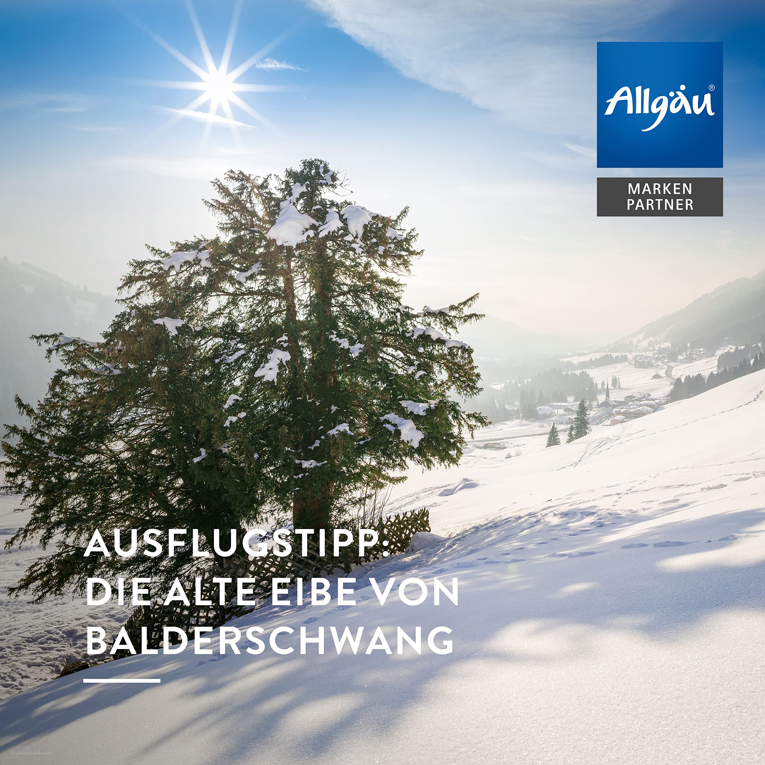 allg-uquelle-nachtruhe-bio-massage-l-lavendel-100-ml-vegan image 6