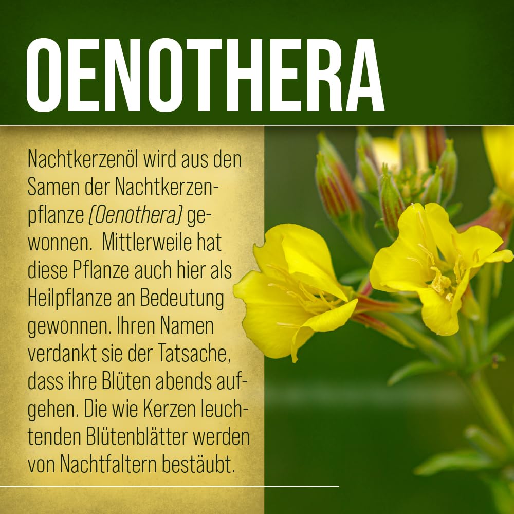 sanct-bernhard-nachtkerzen-l-kapseln-600-st-3er-pack-gla image 2