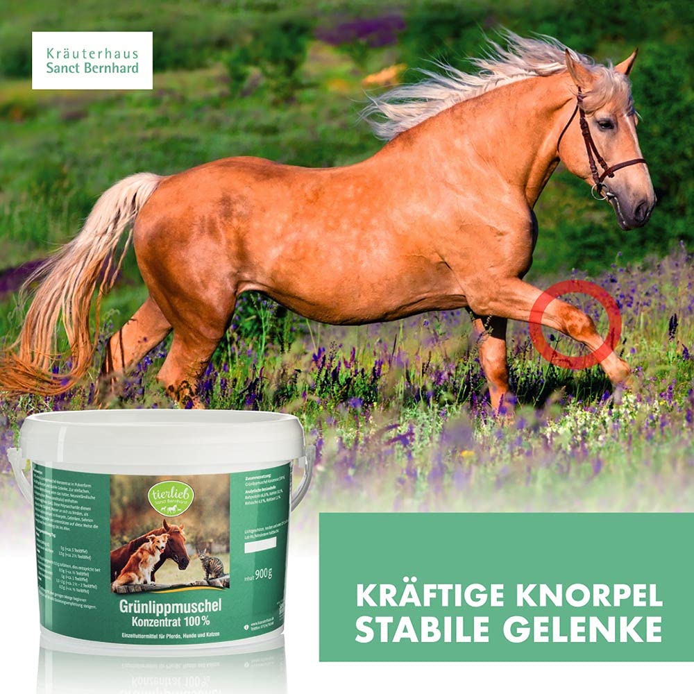 tierlieb-gr-nlippmuschel-konzentrat-900-g-hund-pferd-katze image 2