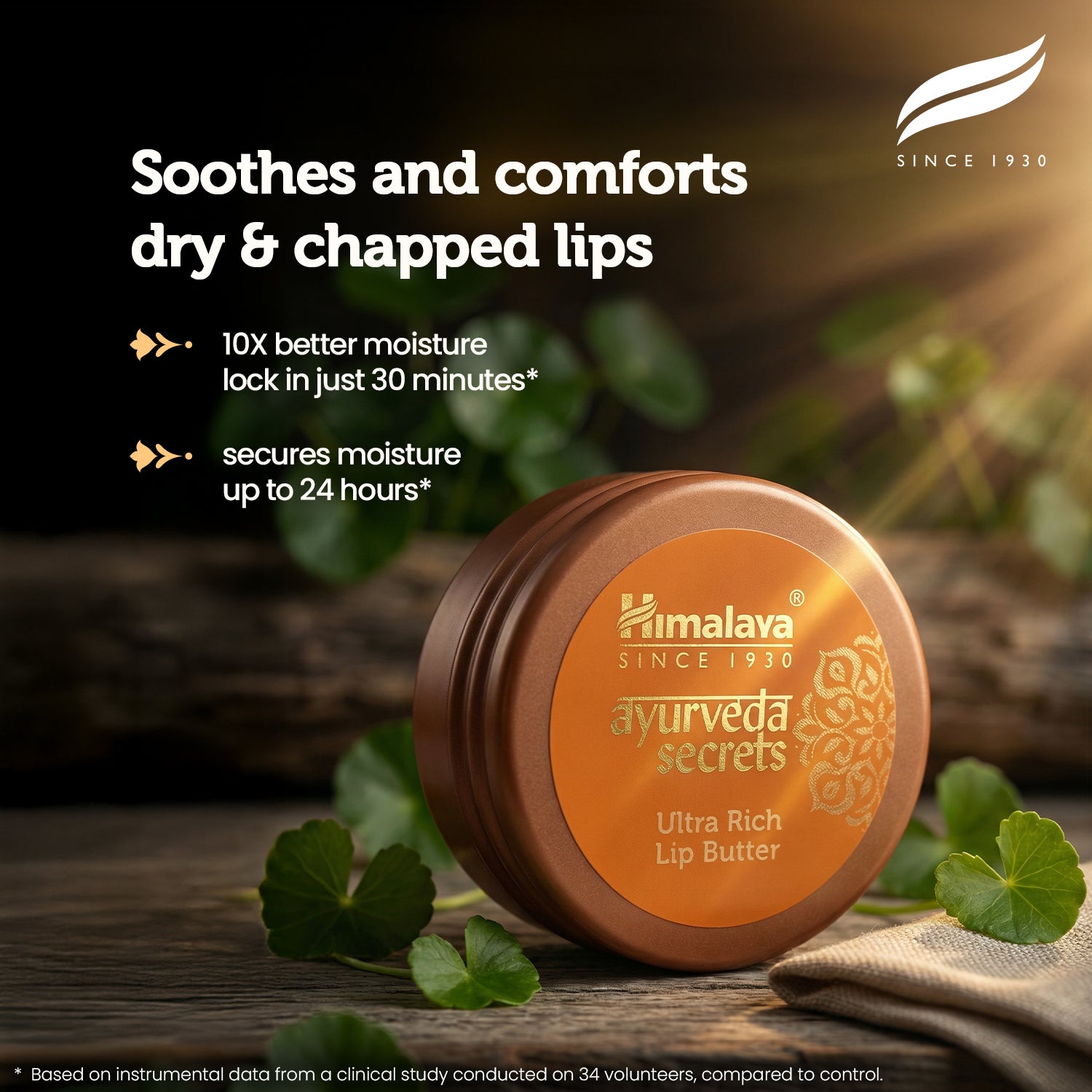 himalaya-ayurveda-secrets-ultra-lippenbutter-8-5-g-vanille-tiegel image 2