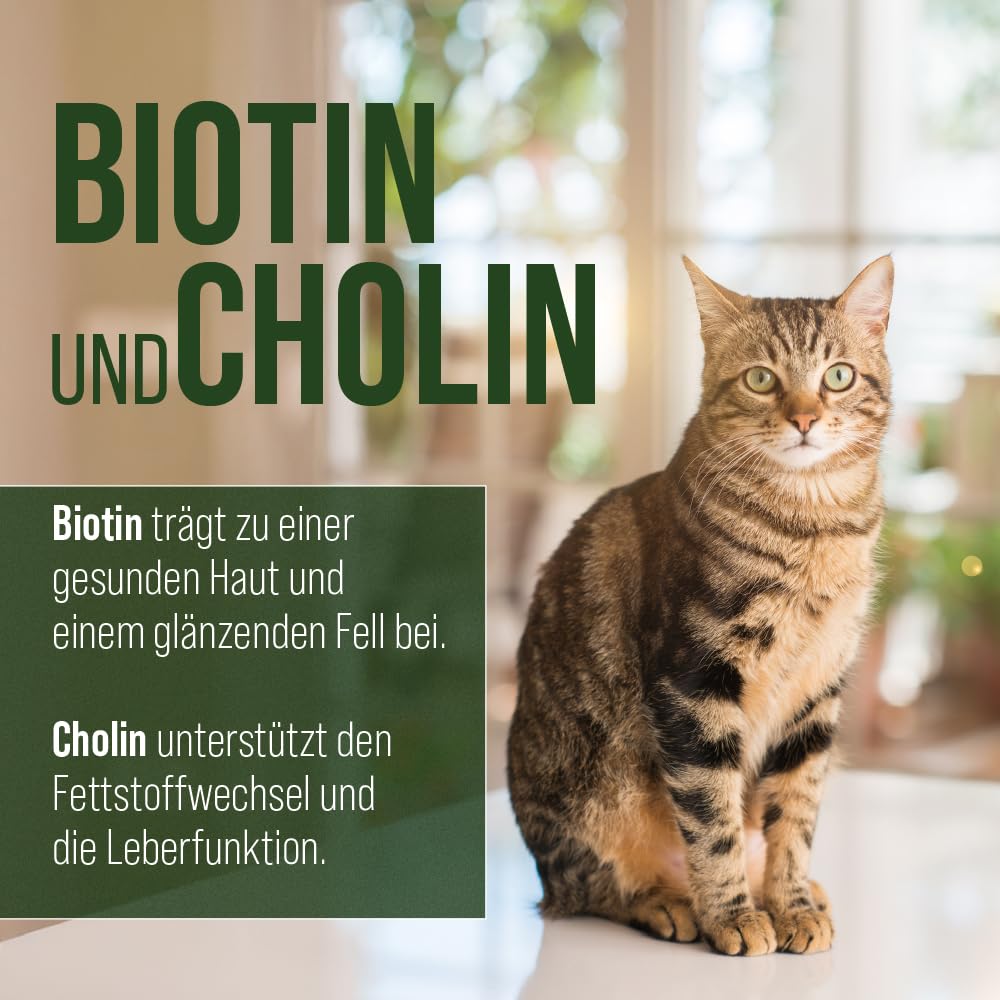 sanct-bernhard-vitamin-b-komplex-f-r-hunde-120-kapseln image 4