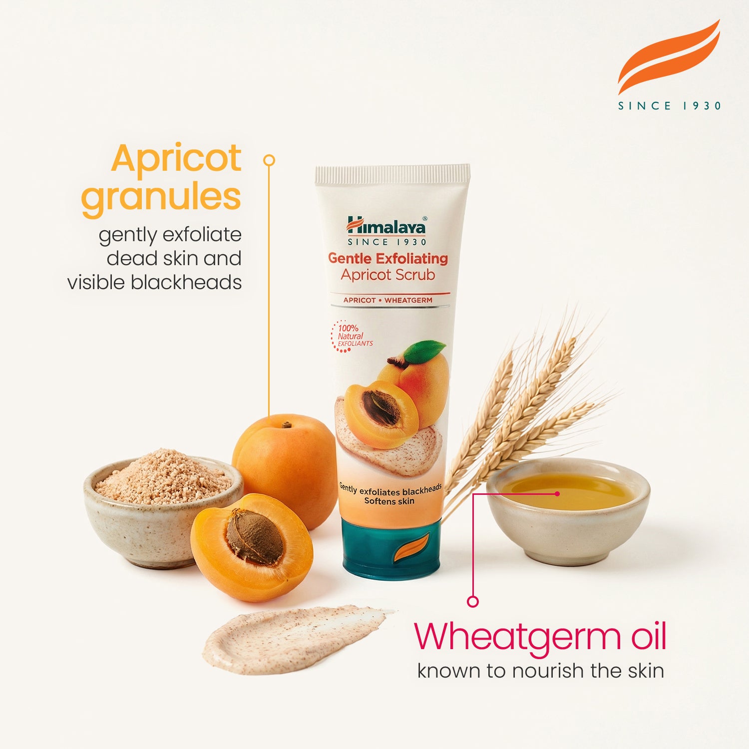 himalaya-aprikosen-gesichtspeeling-sanft-75-ml-mitesser image 3