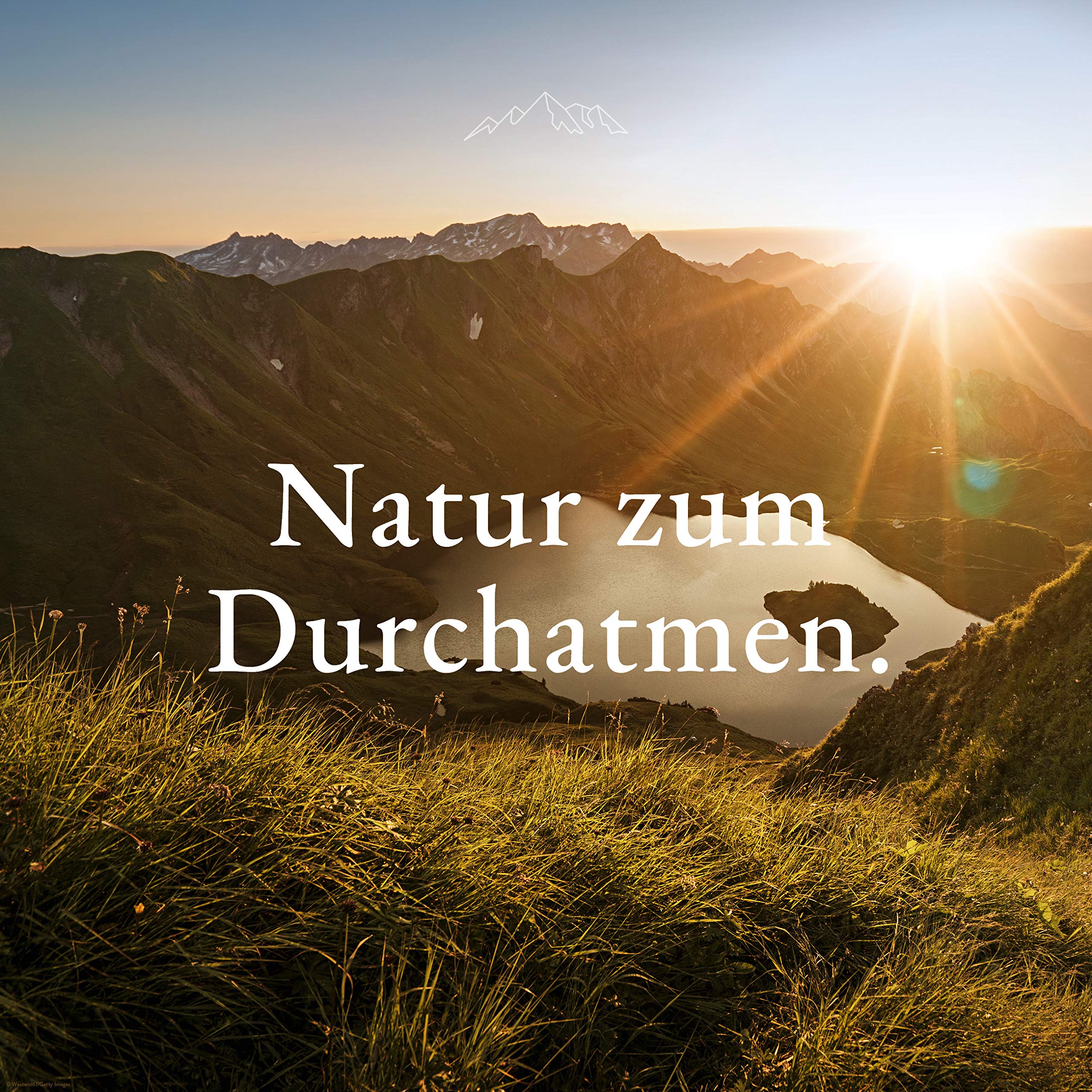 allg-uquelle-frische-kick-bio-duft-l-lemongrass-5-ml-diffusor image 6