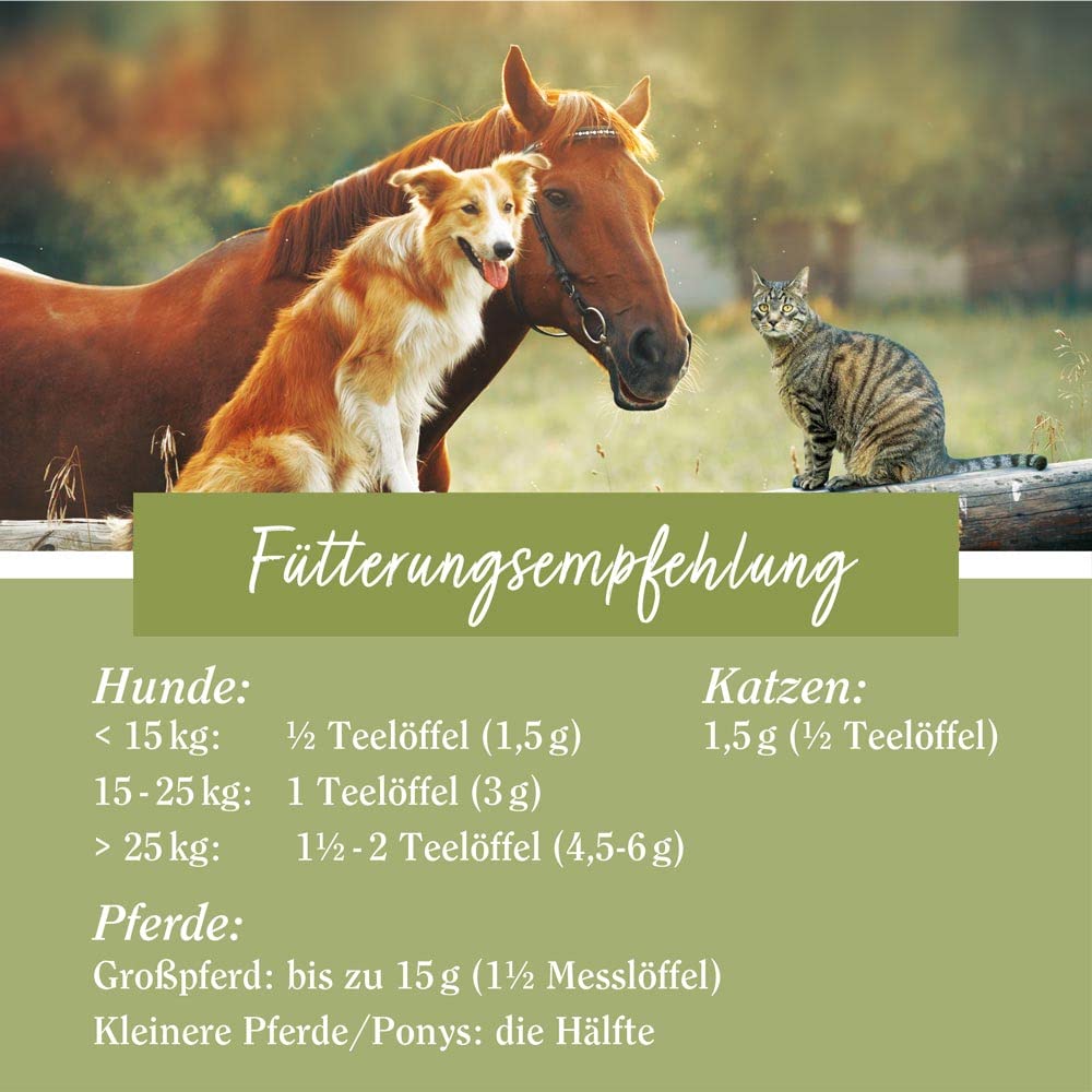 tierlieb-gr-nlippmuschel-konzentrat-900-g-hund-pferd-katze image 4