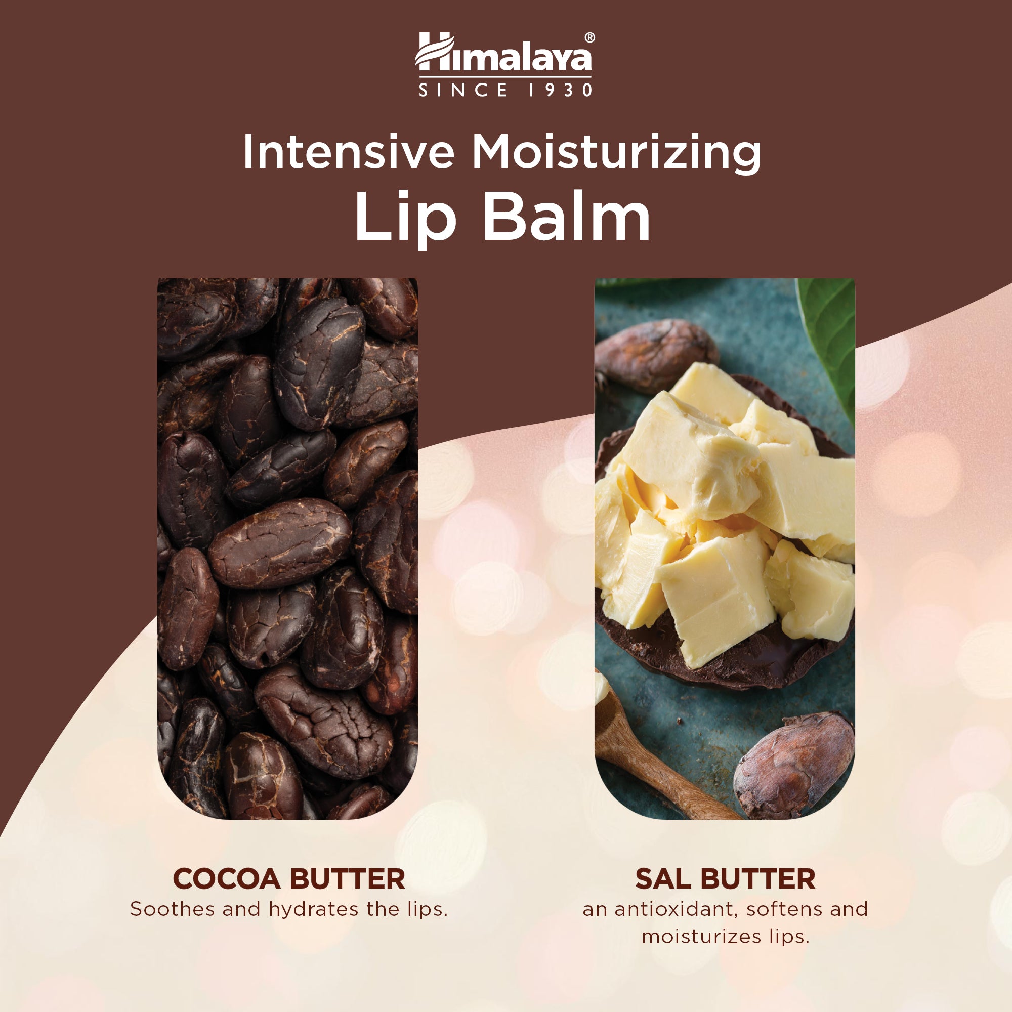 himalaya-cocoa-butter-lippenbalsam-4-5-g-intensiv image 4