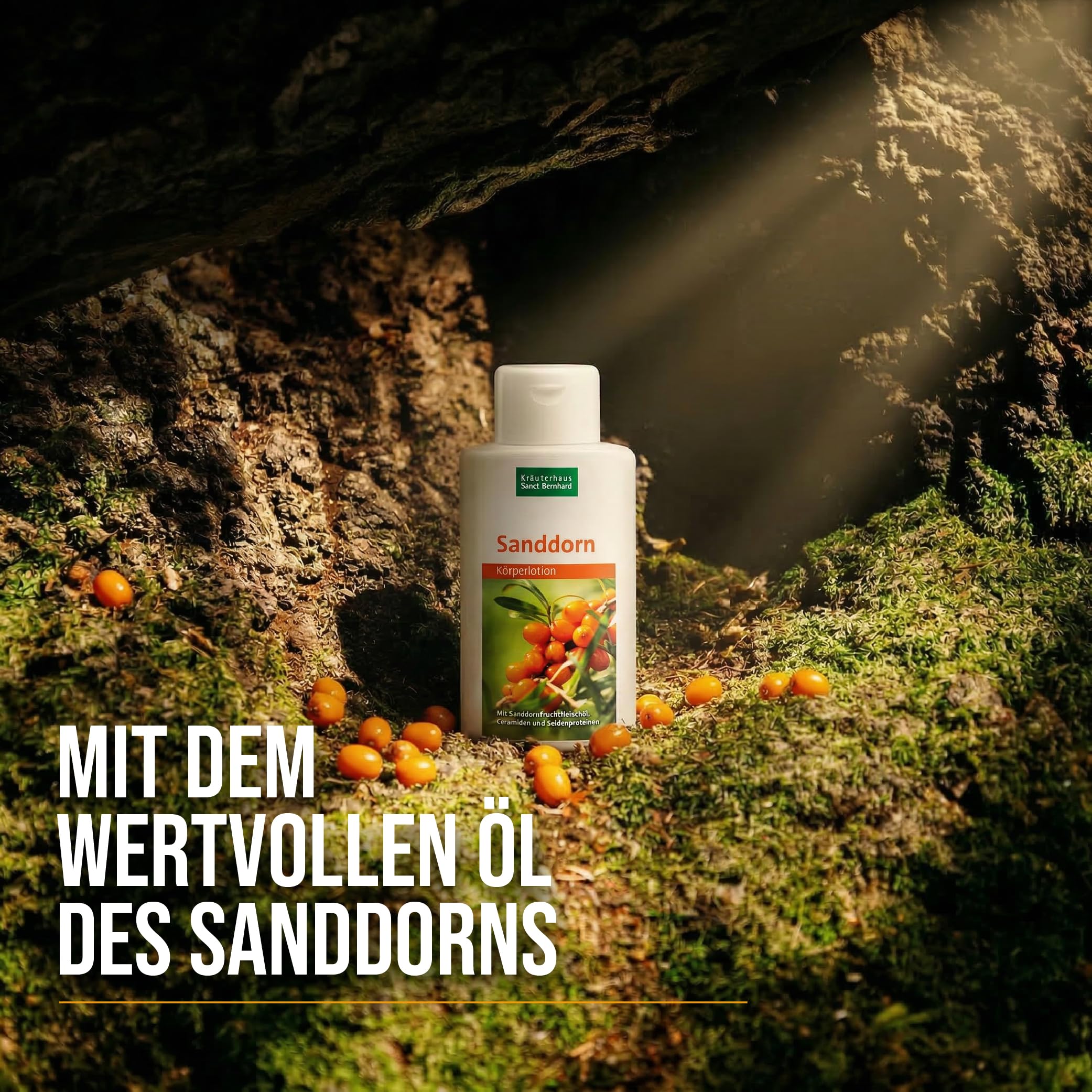 sanct-bernhard-sanddorn-k-rperlotion-250-ml-seide image 2