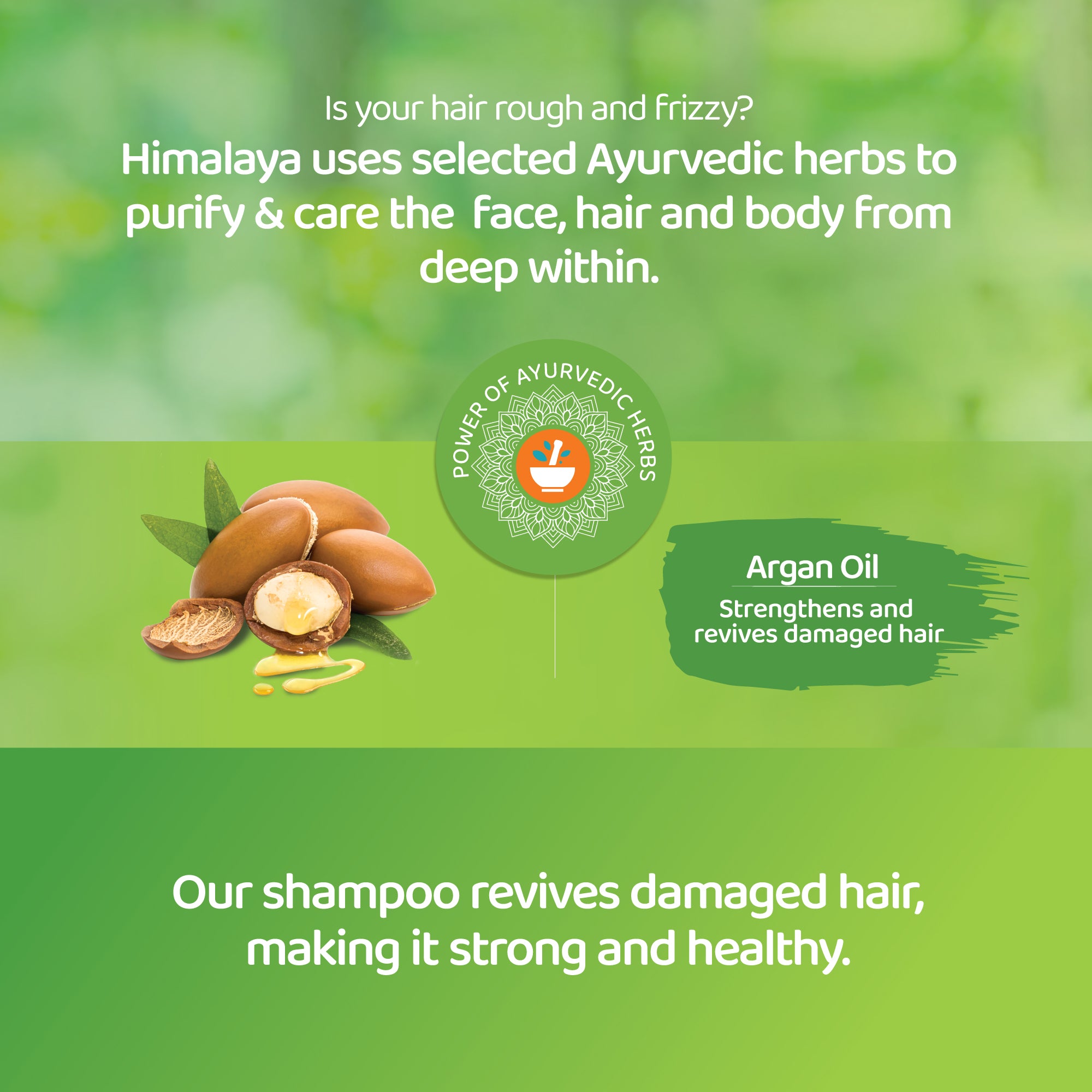 himalaya-repair-regenerate-protein-shampoo-400-ml-argan-l image 3