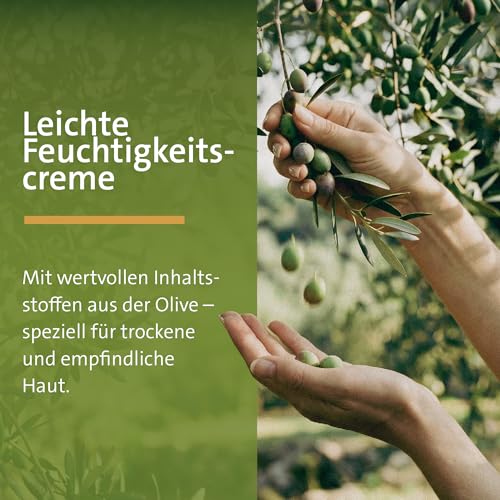sanct-bernhard-oliven-feuchtigkeitscreme-unparf-miert-100-ml-gesichtscreme image 8
