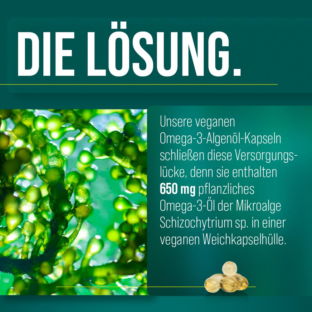 sanct-bernhard-omega-3-algen-l-60-kapseln-vegan-650-mg image 4