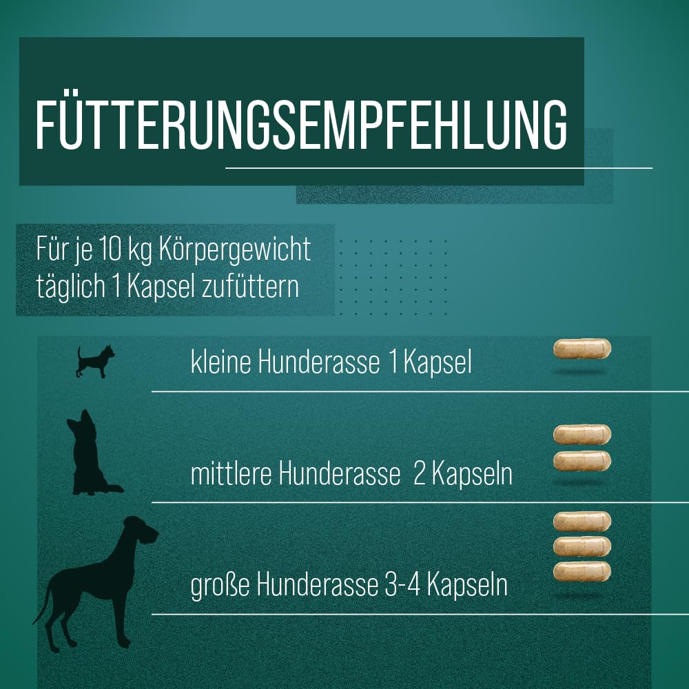 tierlieb-gr-nlippmuschel-hunde-kapseln-150-st-ck-gag image 5
