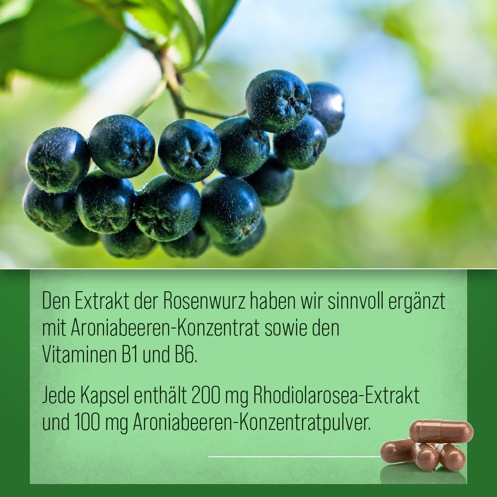 sanct-bernhard-rosenwurz-kapseln-120-st-ck-rhodiola-aronia image 4