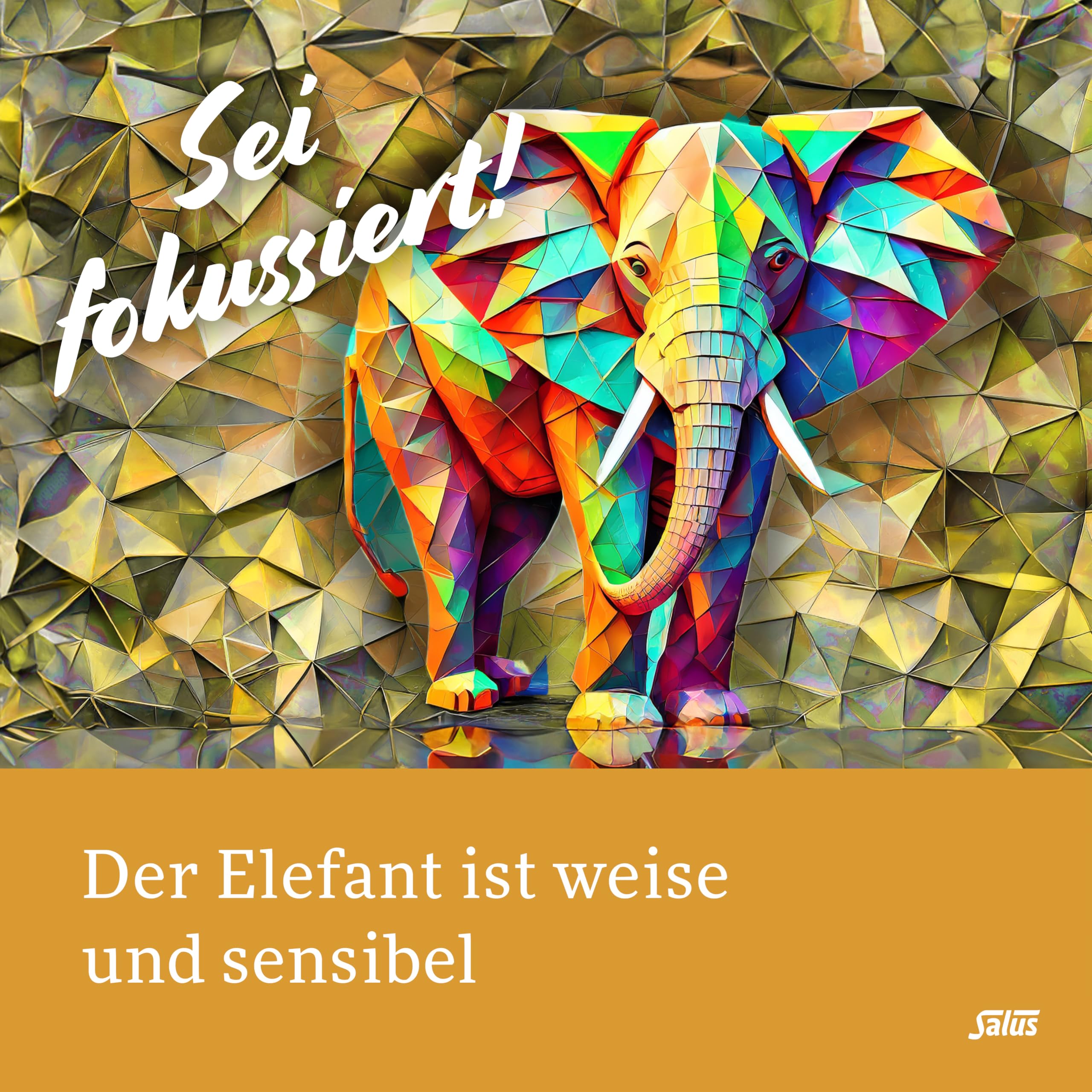 salus-krafttier-weiser-elefant-gew-rztee-bio-15-fb-tulsi-fokus image 4