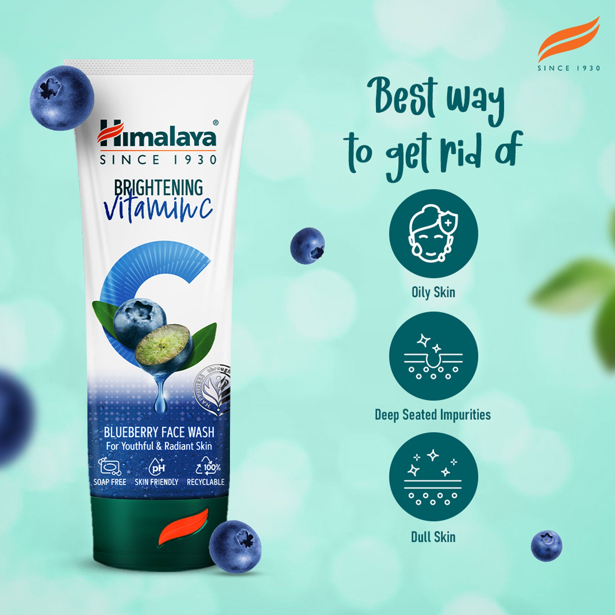 himalaya-brightening-vitamin-c-gesichtswaschgel-heidelbeere-100-ml image 4