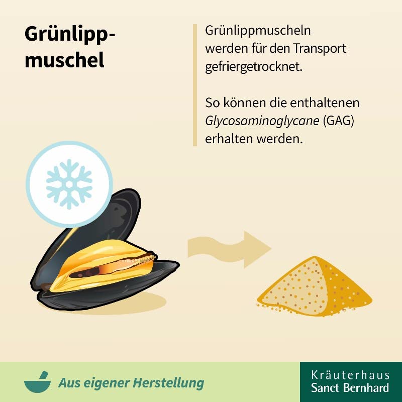 sanct-bernhard-muschelenergie-plus-gr-nlippmuschel-q10-120-kapseln image 5