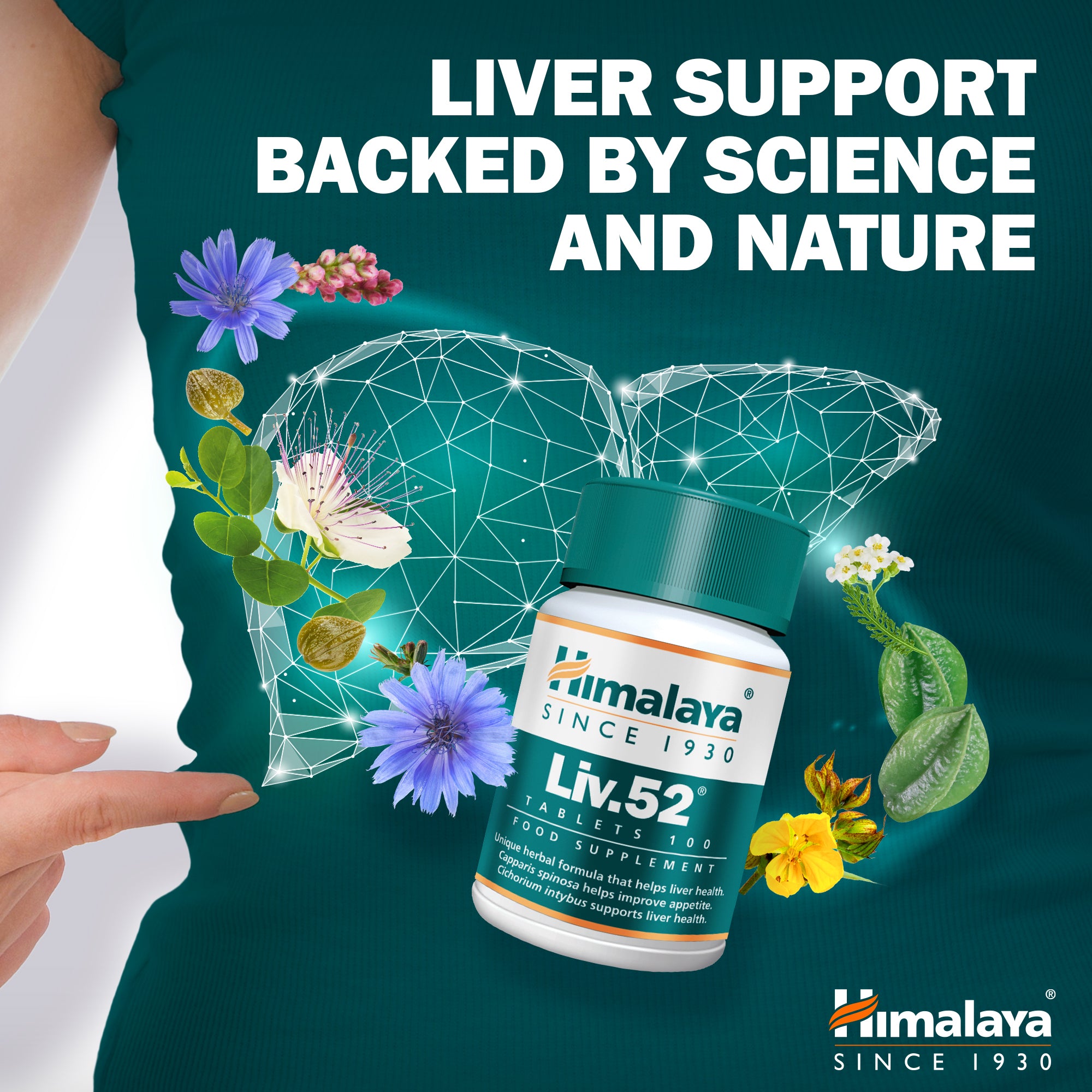 himalaya-liv-52-tabletten-100-st-ck-leber-entgiftung image 2