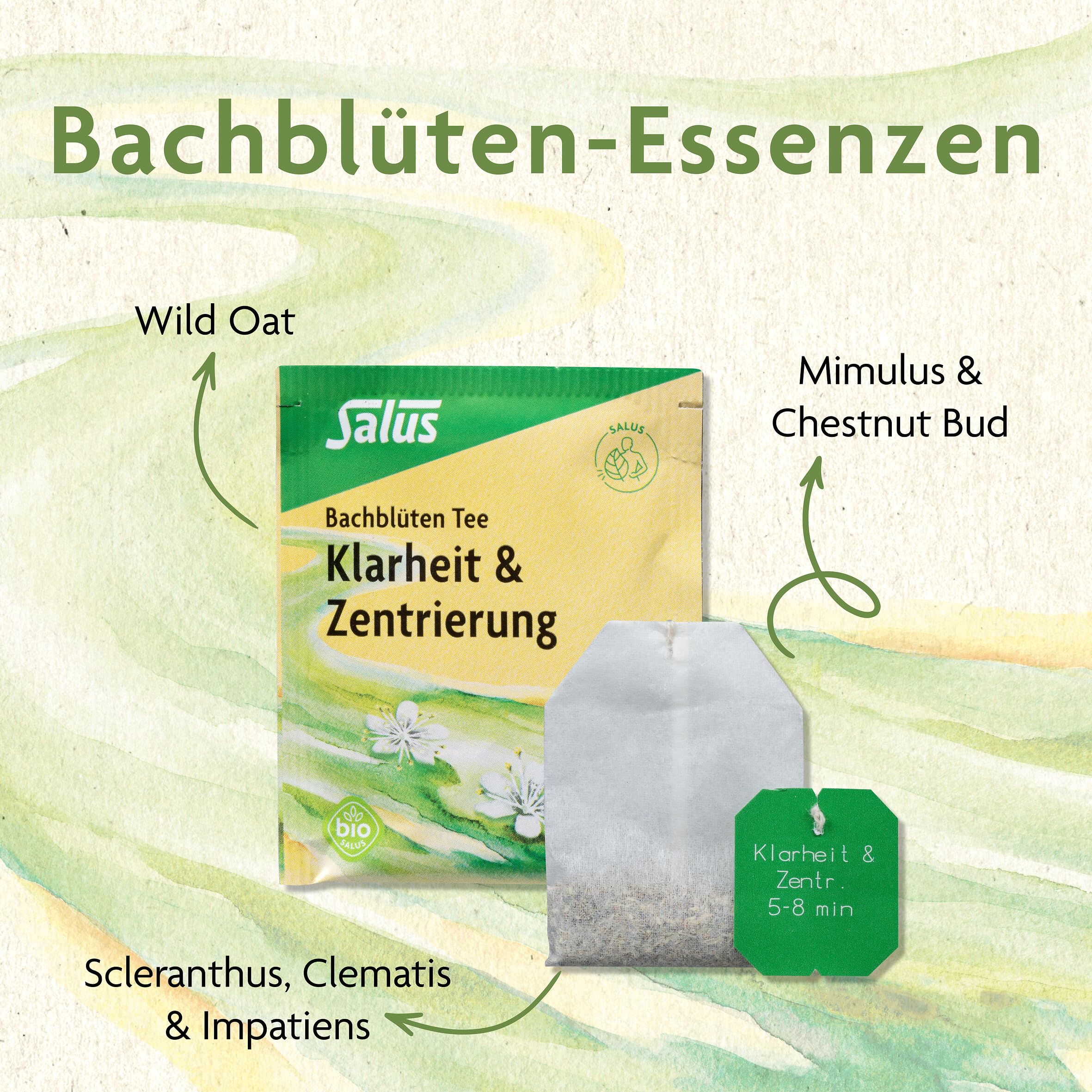 salus-bachbl-ten-tee-klarheit-filterbeutel-15x-bio-30-g image 3