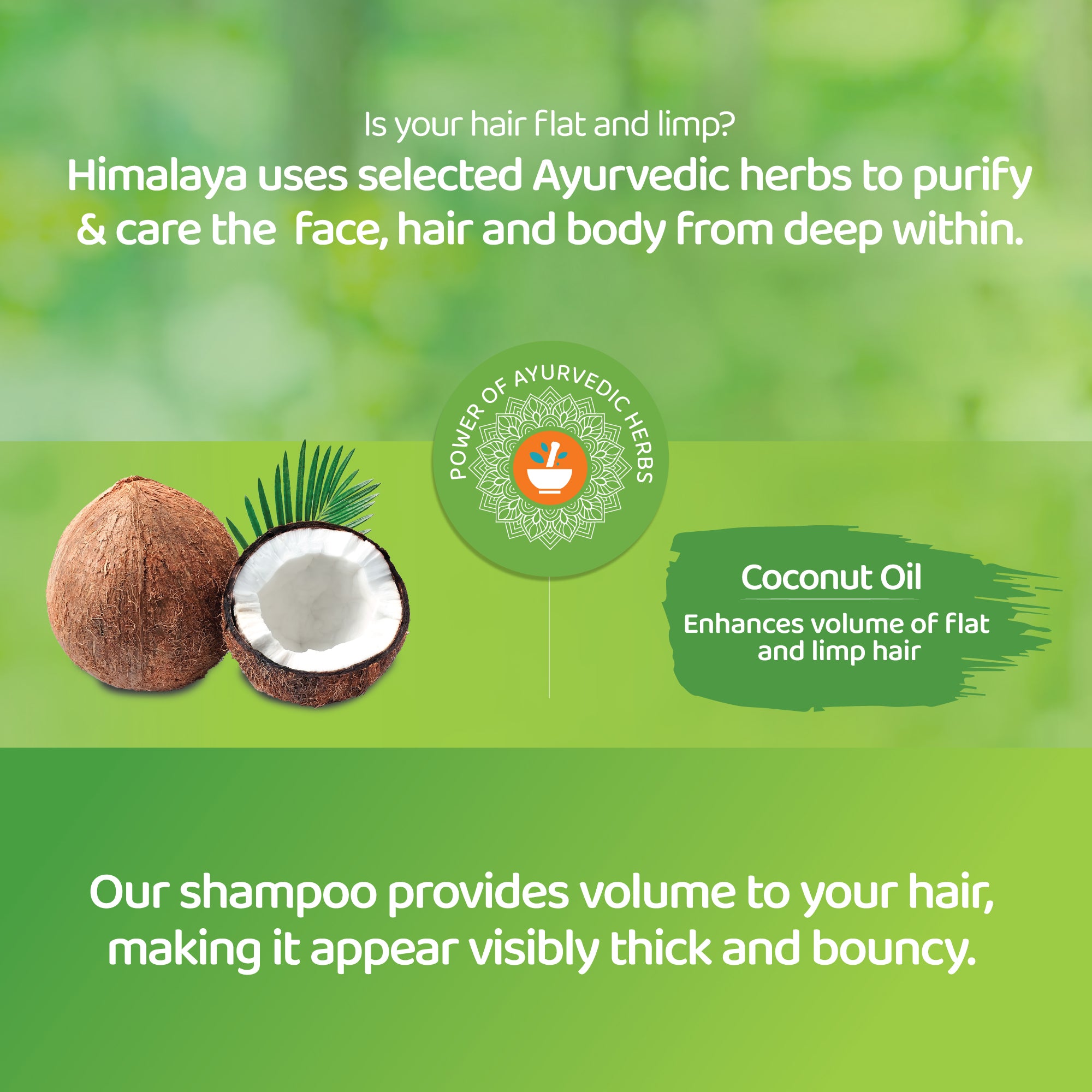 himalaya-protein-shampoo-volumen-f-lle-400-ml-kokos image 3