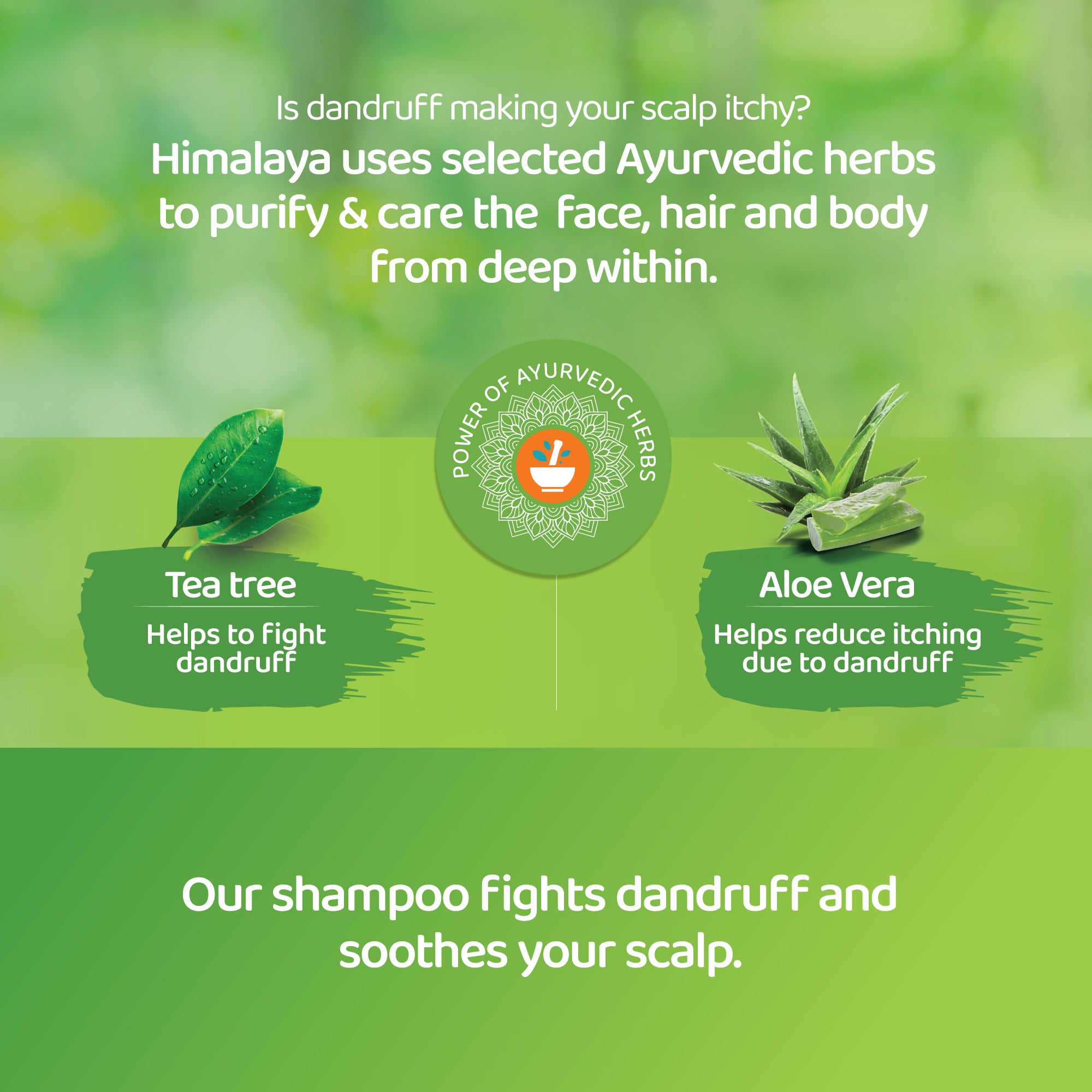 himalaya-anti-schuppen-shampoo-400-ml-mit-teebaum image 3