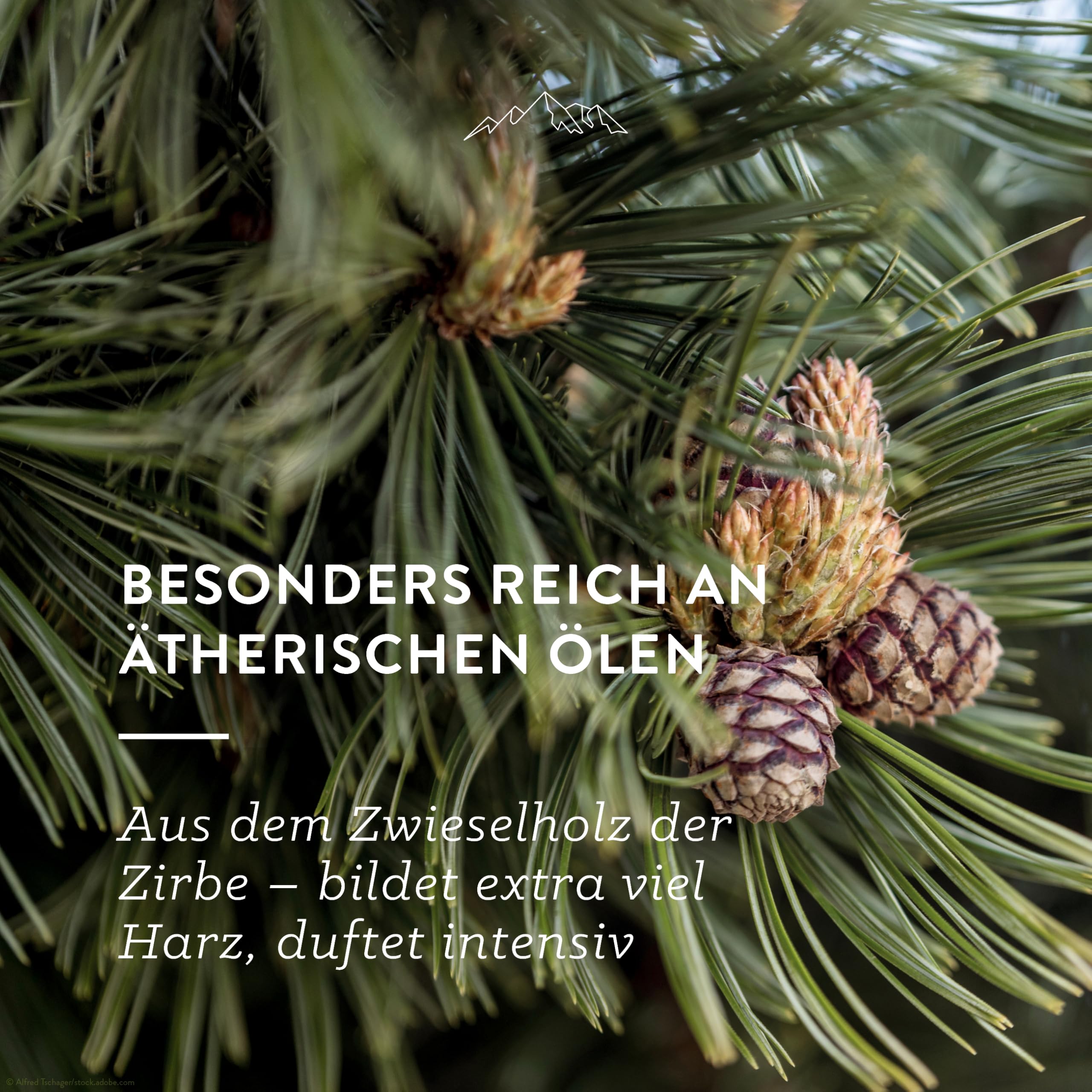 allg-uquelle-bio-zirbenkissen-45x45-cm-1000-g-zirbe image 4